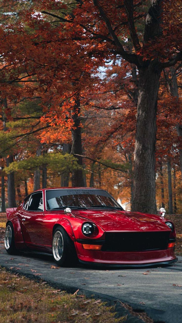 736x1308 Nissan Datsun JDM Wallpaper