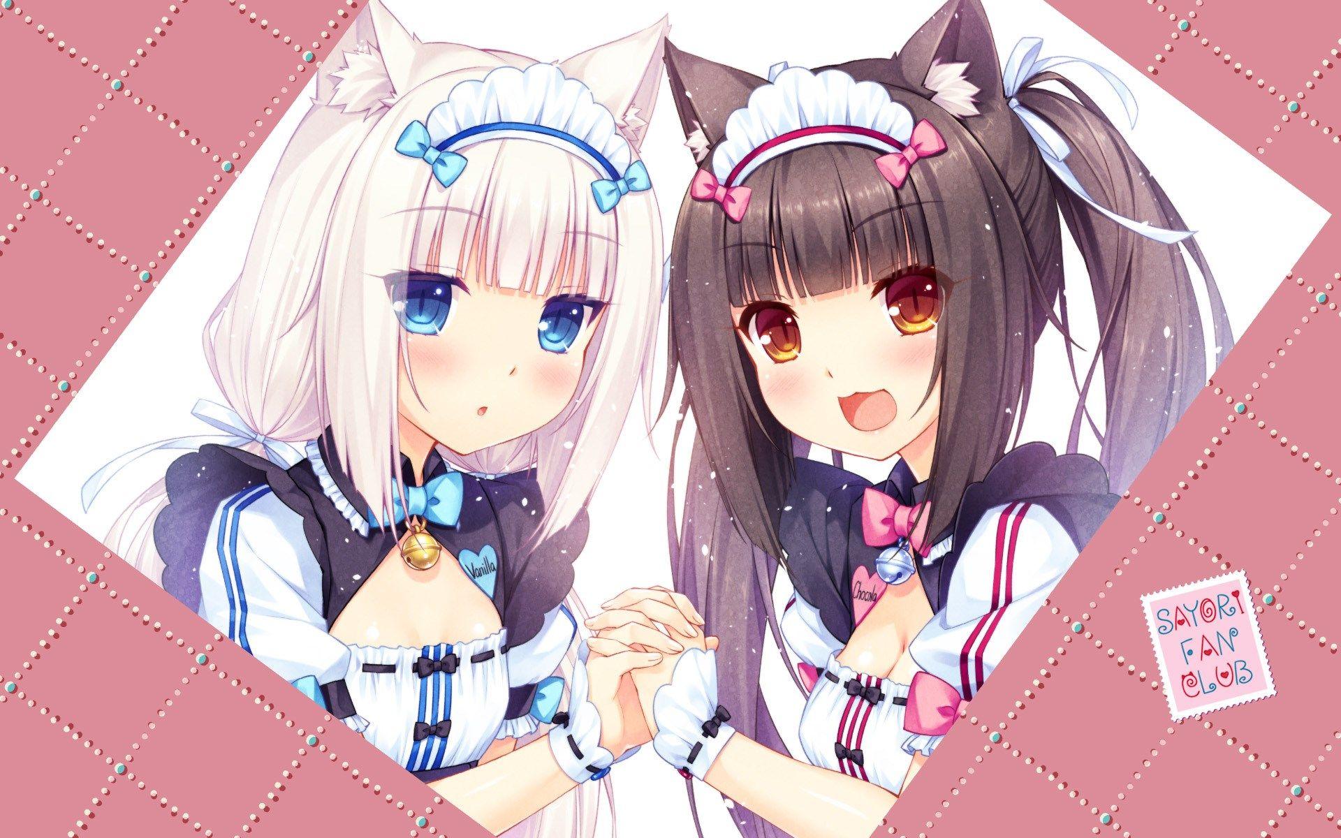 1920x1200 Nekopara Coconut Wallpaper