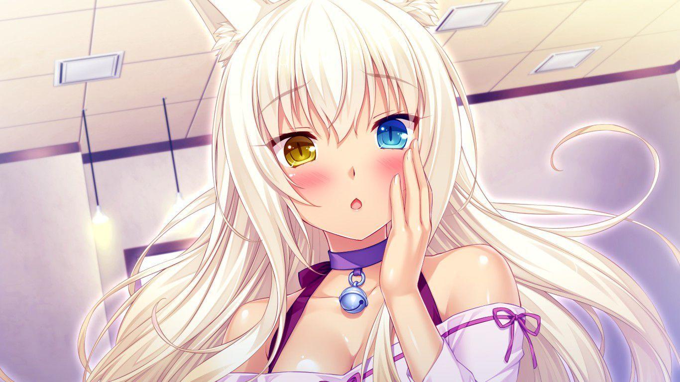 1366x768 Nekopara Wallpaper