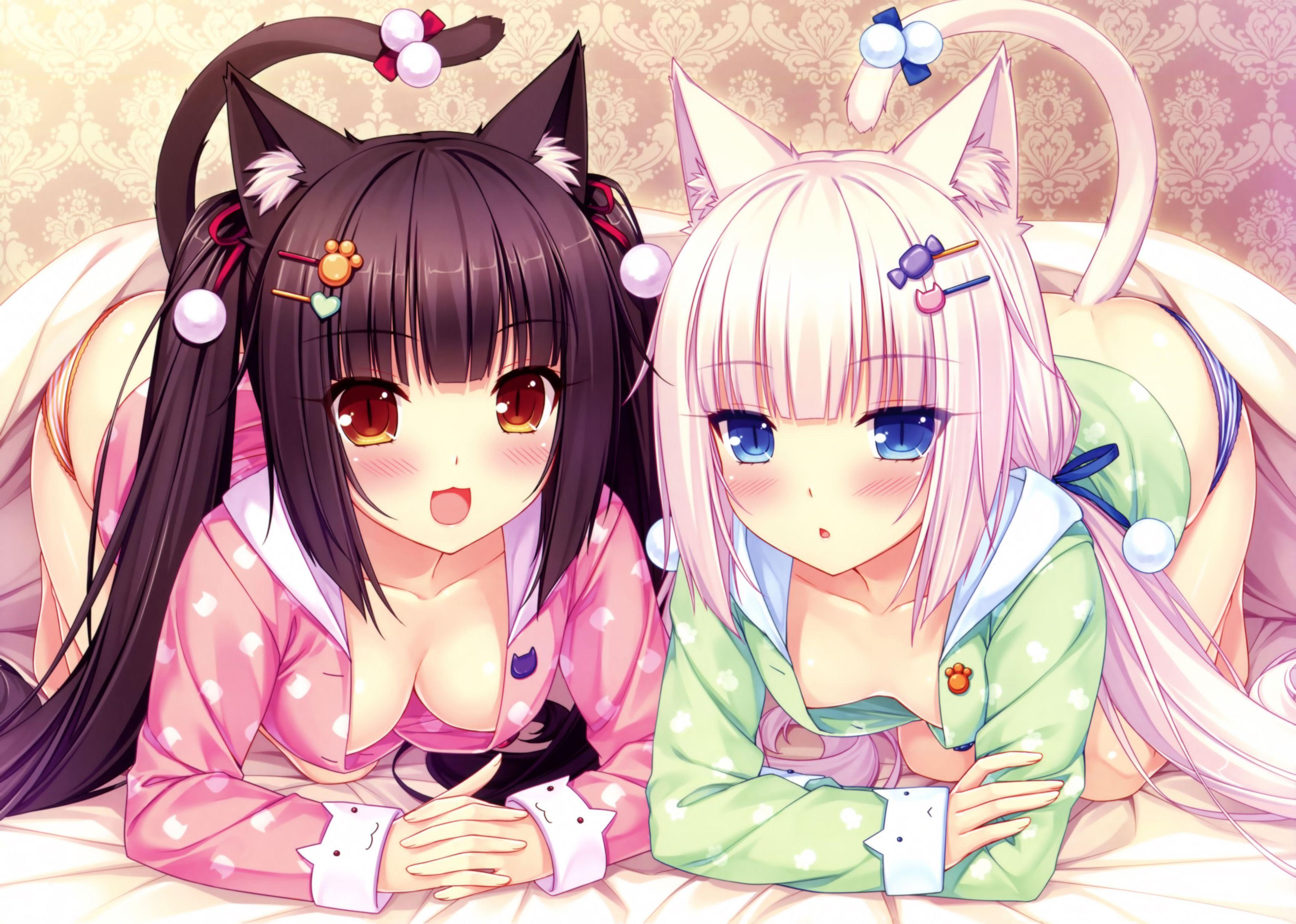 3482x2484 Chocola And Vanilla From Nekoparahave Just Woken Up