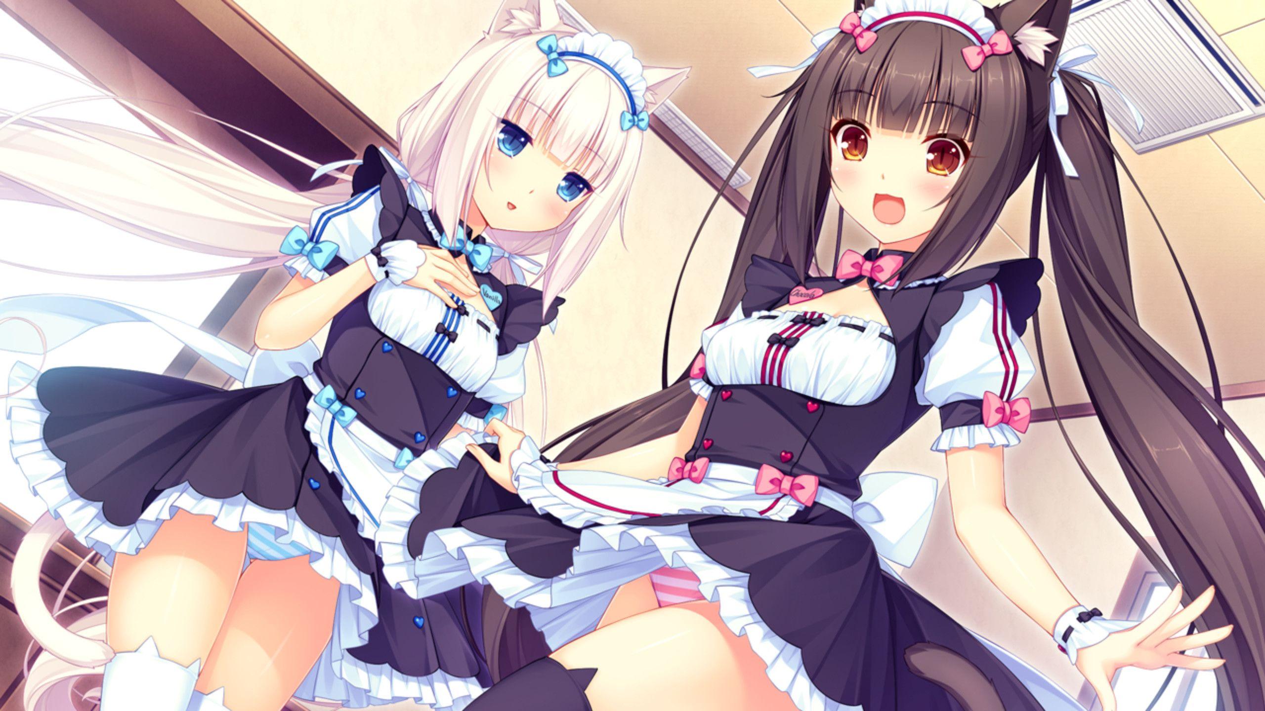 Nekopara Wallpapers Top Free Nekopara Backgrounds Wallpaperaccess