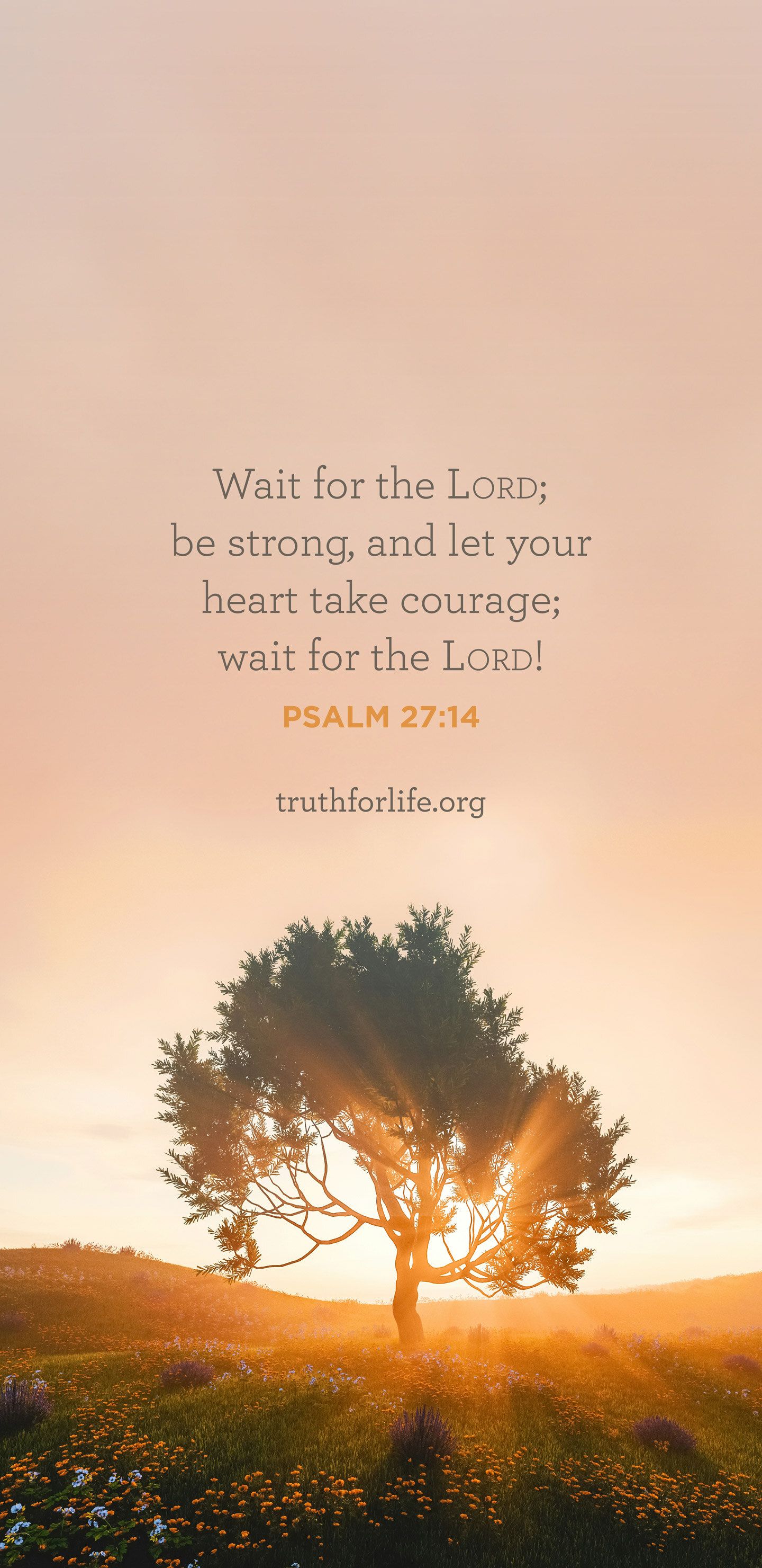 1440x2960 Wallpaper: Wait for the Lord