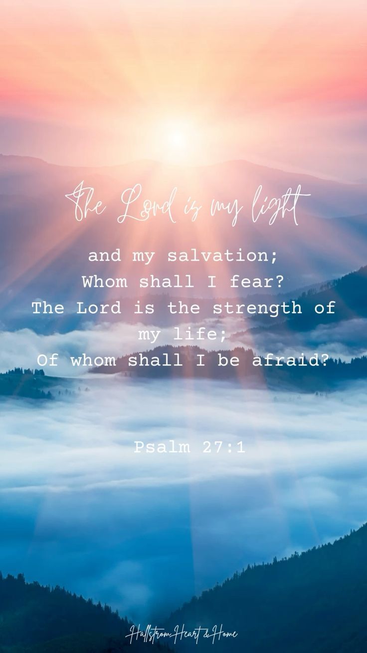 736x1308 Bible verse wallpaper