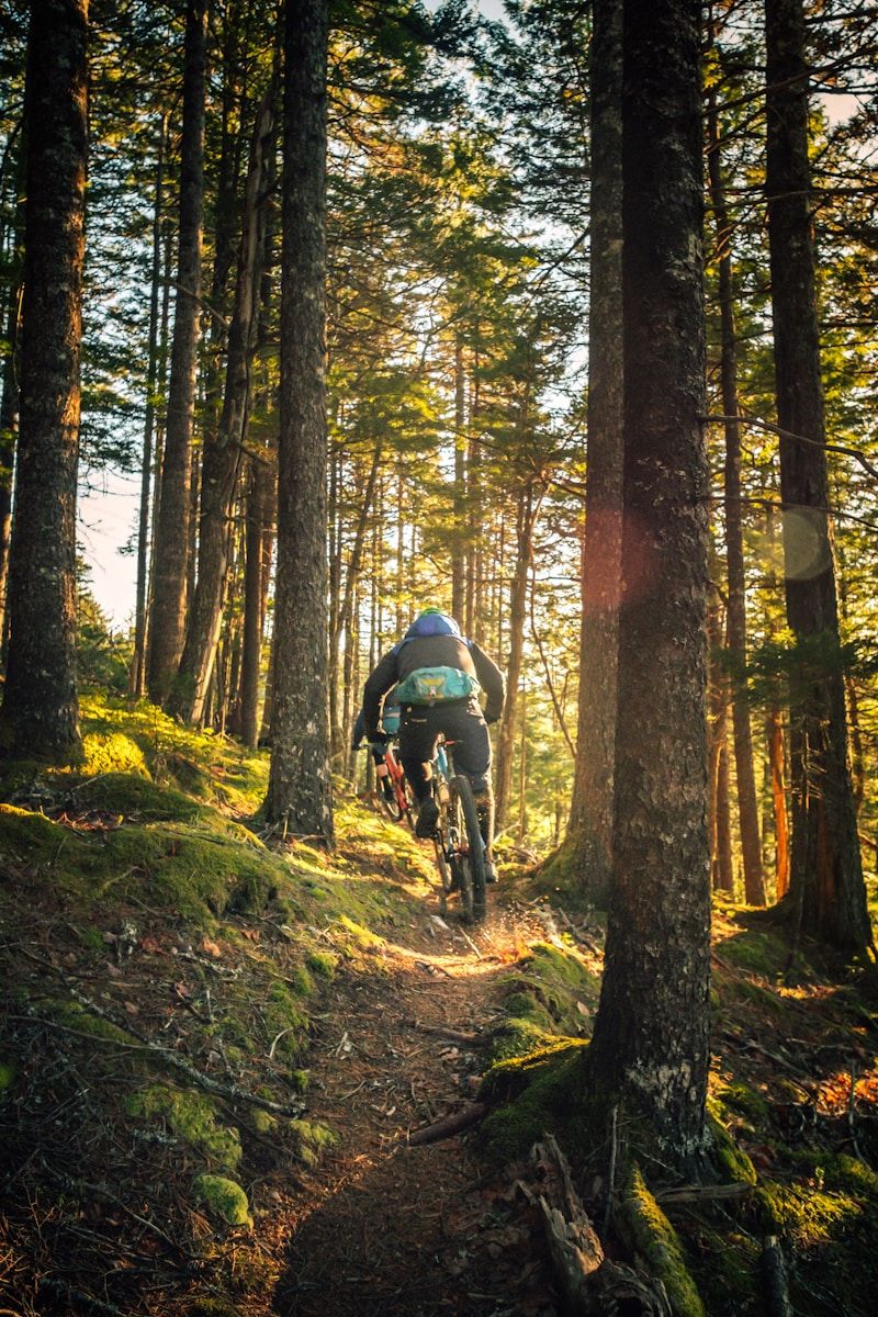 800x1200 Best Routes for Bikepacking in Arkansas