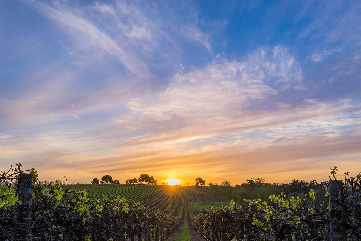 1200x800 Memorable Moments in South Australia Dening Photography