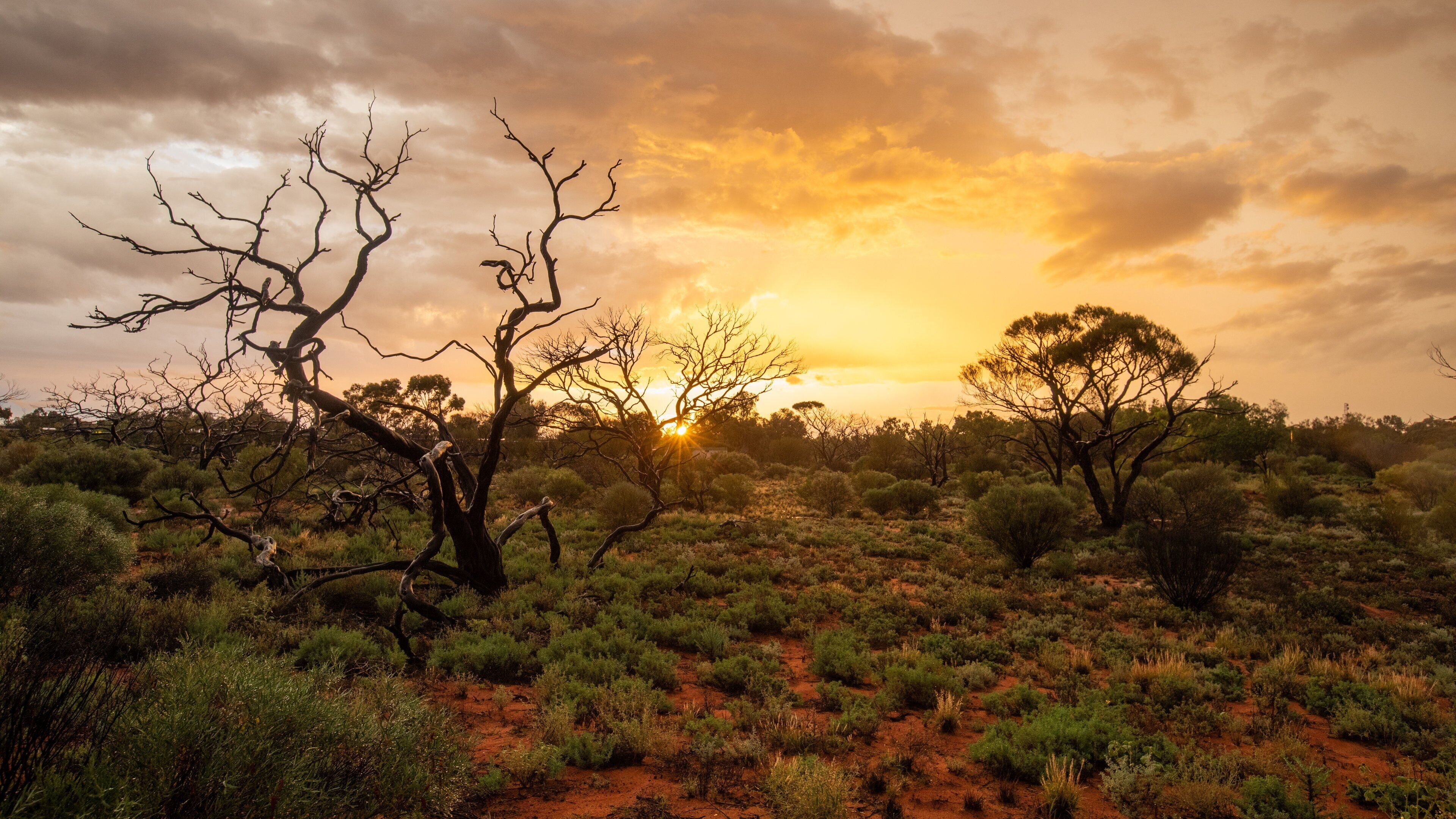 3840x2160 Visit South Australia: 2026 Travel Guide for South Australia, Australia