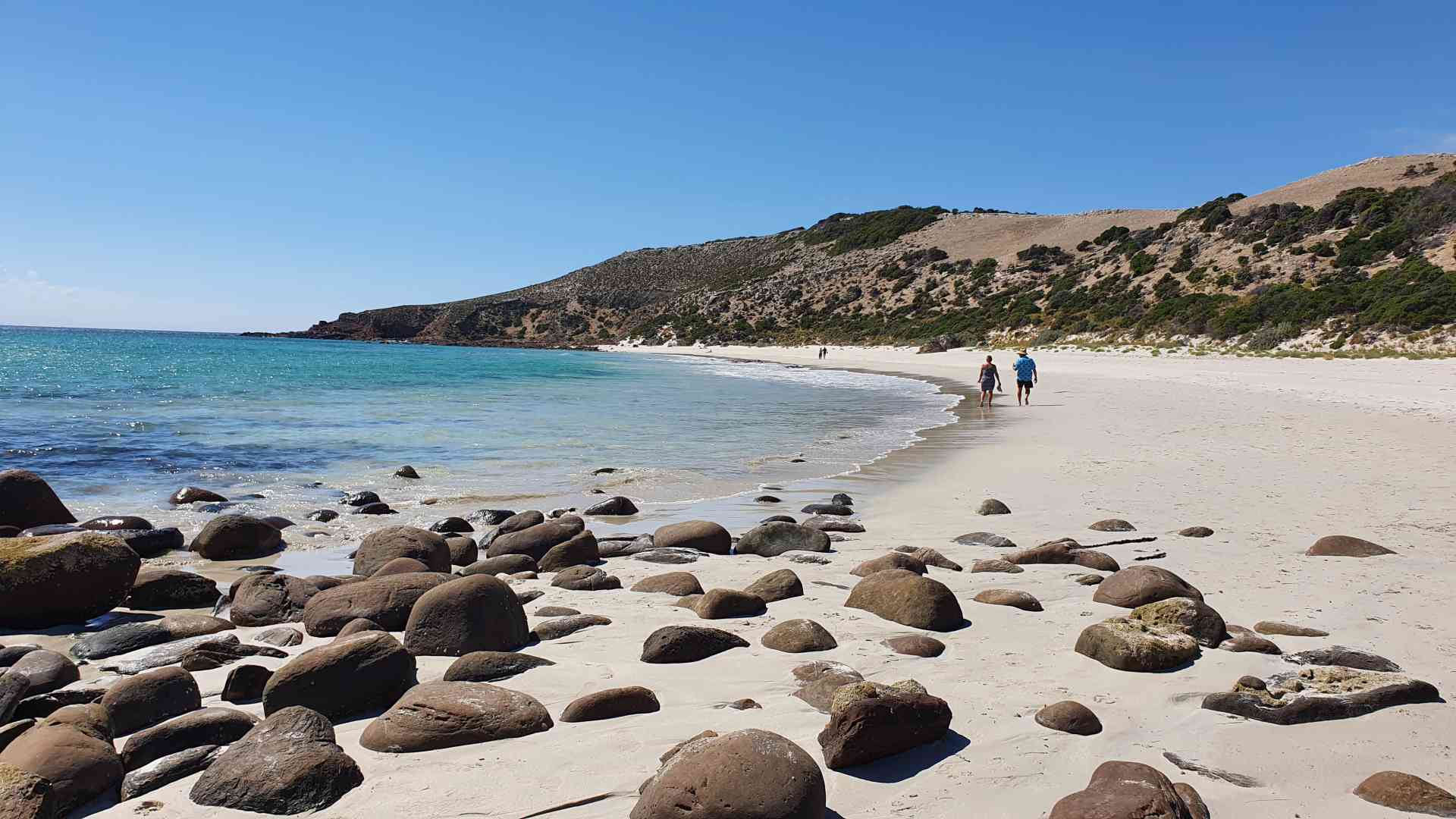 1920x1080 Random South Australian Facts!