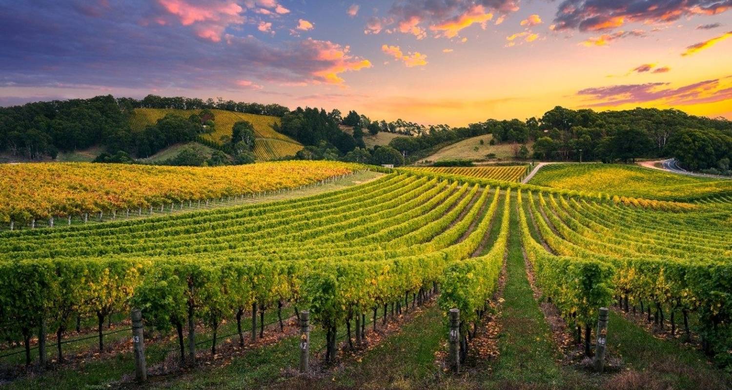 1500x800 Best South Australia Tours for Singles / Solo Travelers