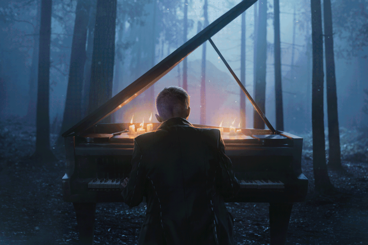 1200x800 Forest Music - Behance