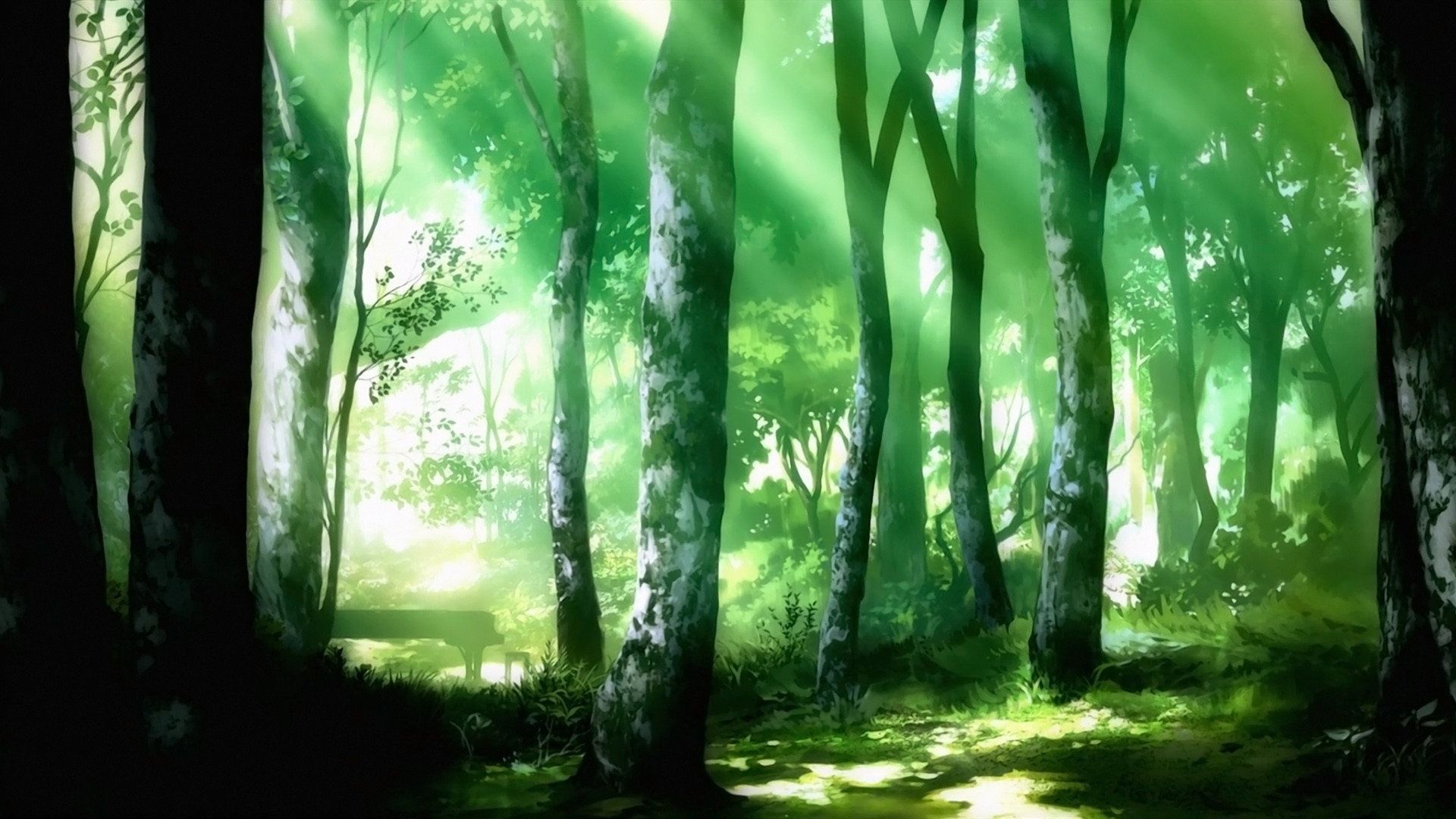 1920x1080 The Piano Forest (TV Series 2018 2019)