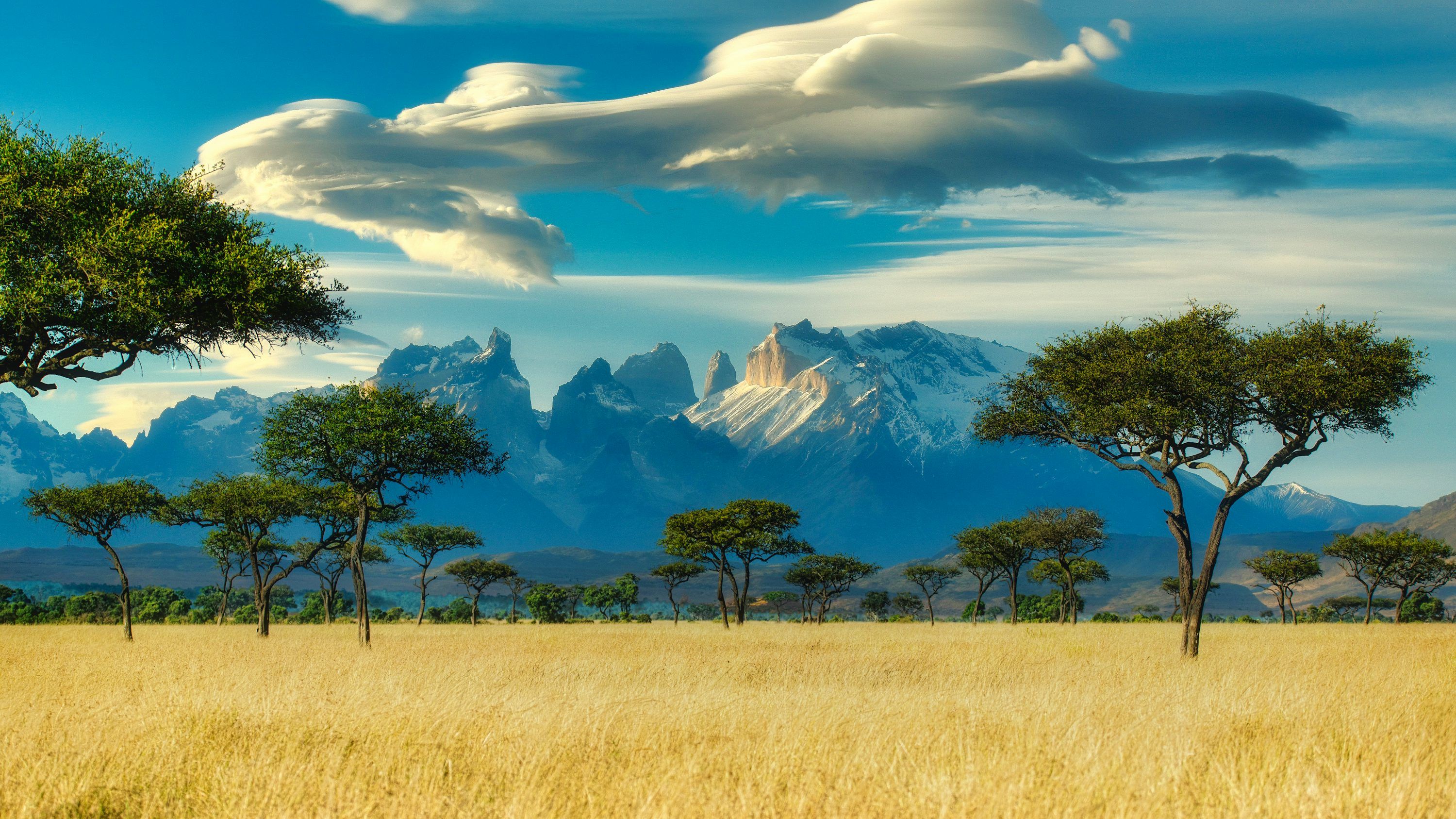 3000x1687 African Nature Picture. Download Free Image