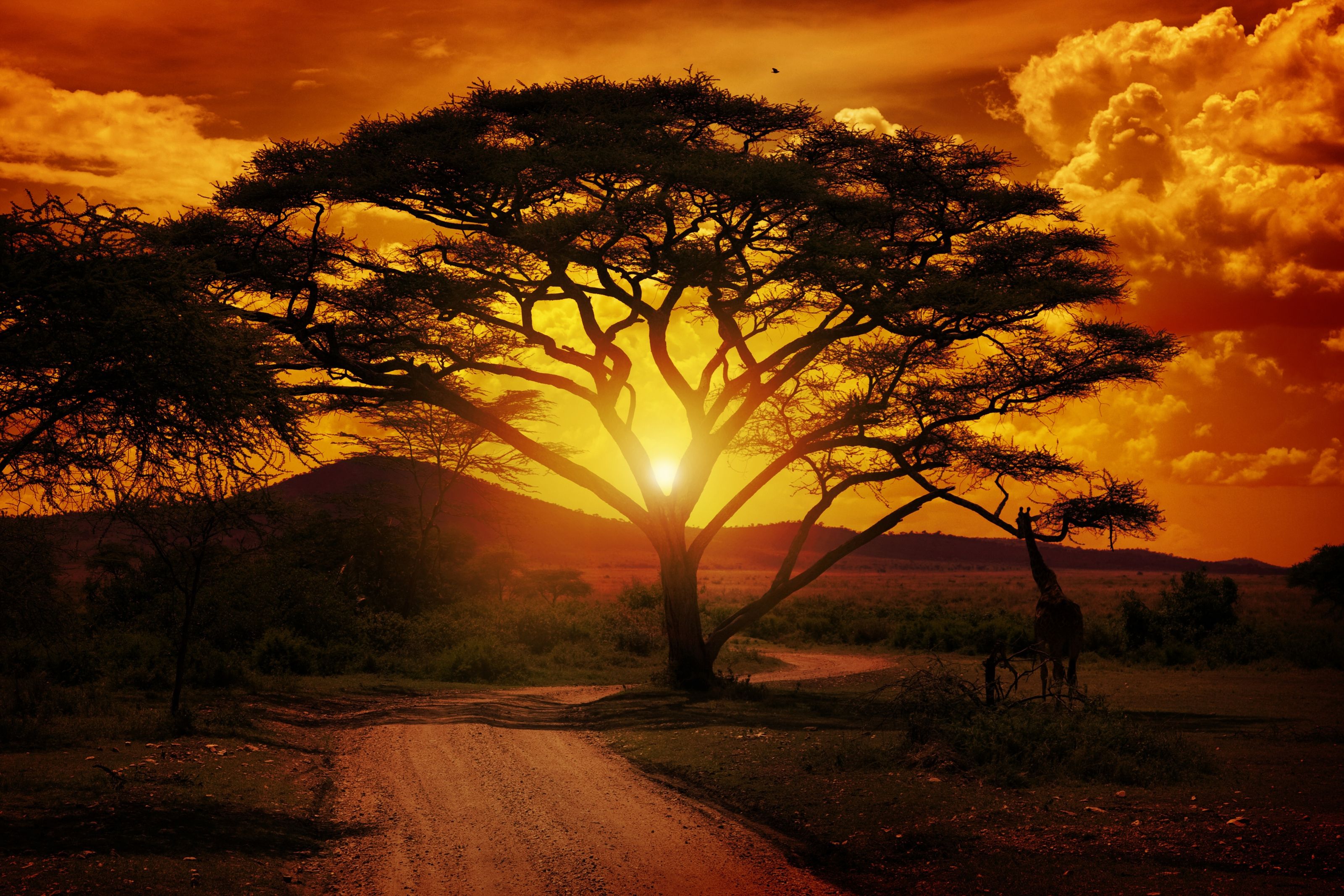 3200x2133 Africa Sunset Wall Mural
