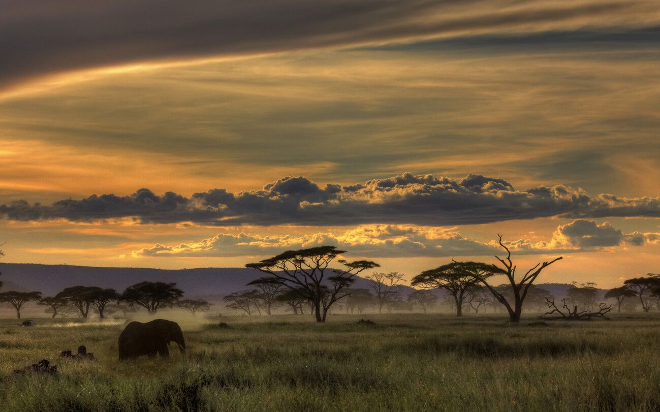 1299x811 Poster Africa, Amnon Eichelberg. Wall Art 1 FREE