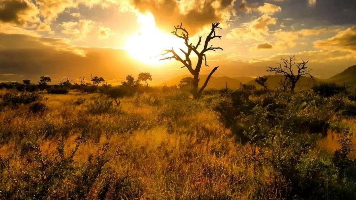 1240x698 Exploring the outstanding beauty of the Kruger National Park Drift Safari Camps