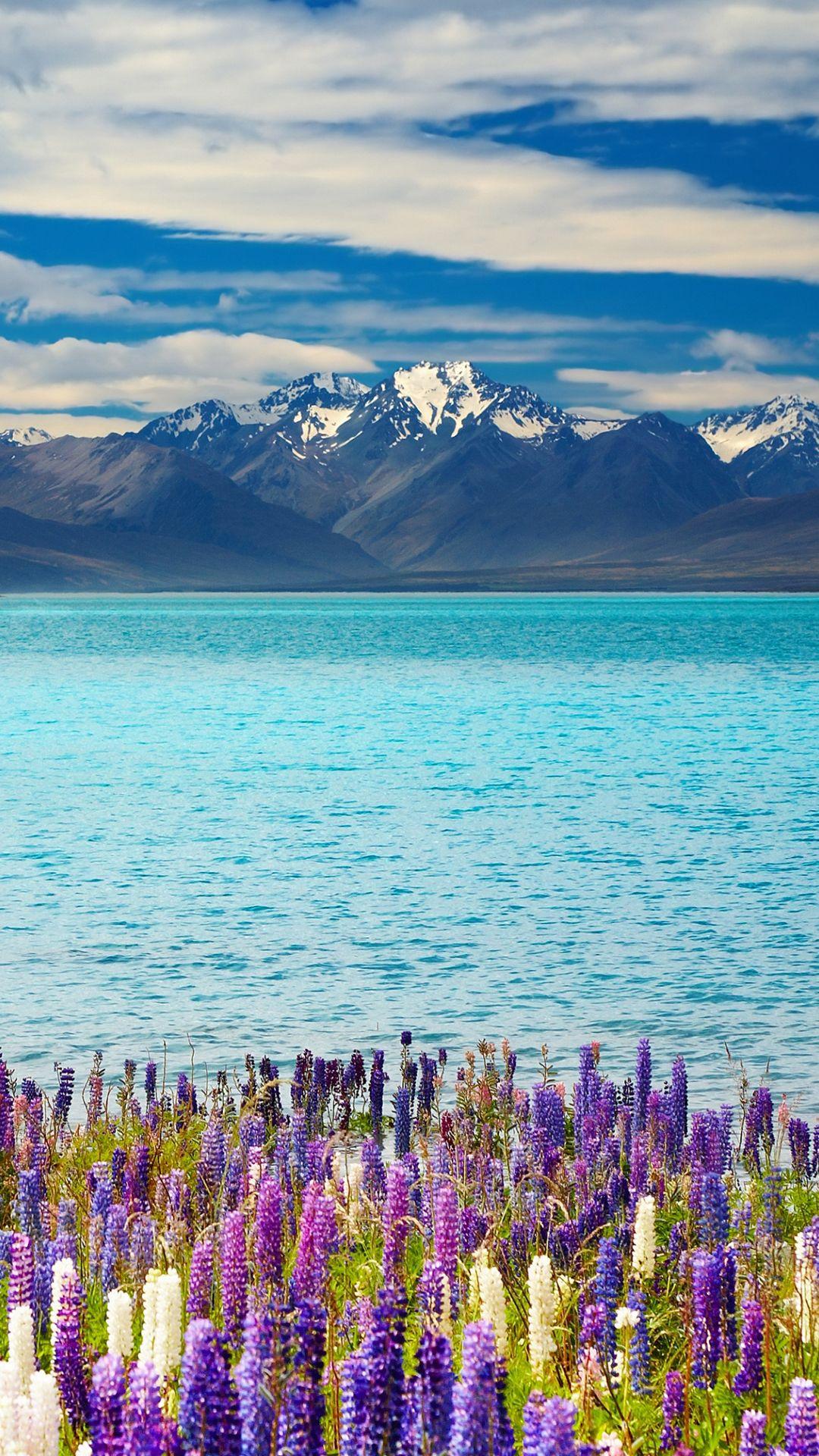 1080x1920 New Zealand Hình Nền iPhone HD