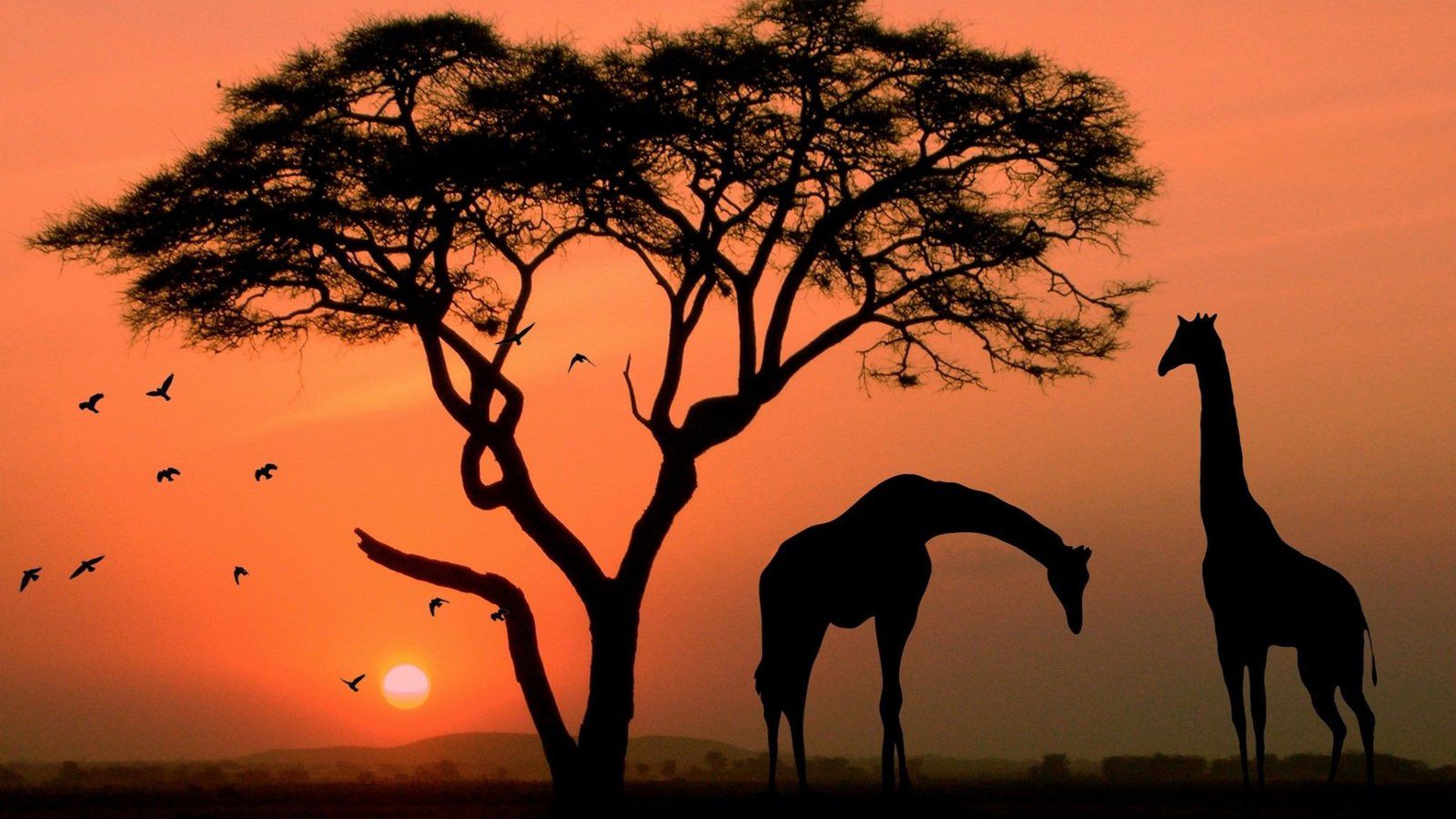 1600x900 African Sunset Twilight Tree Red Sky Savannah Animals Birds Giraffe Rhino Nature Landscape Wallpaper For Desktop :
