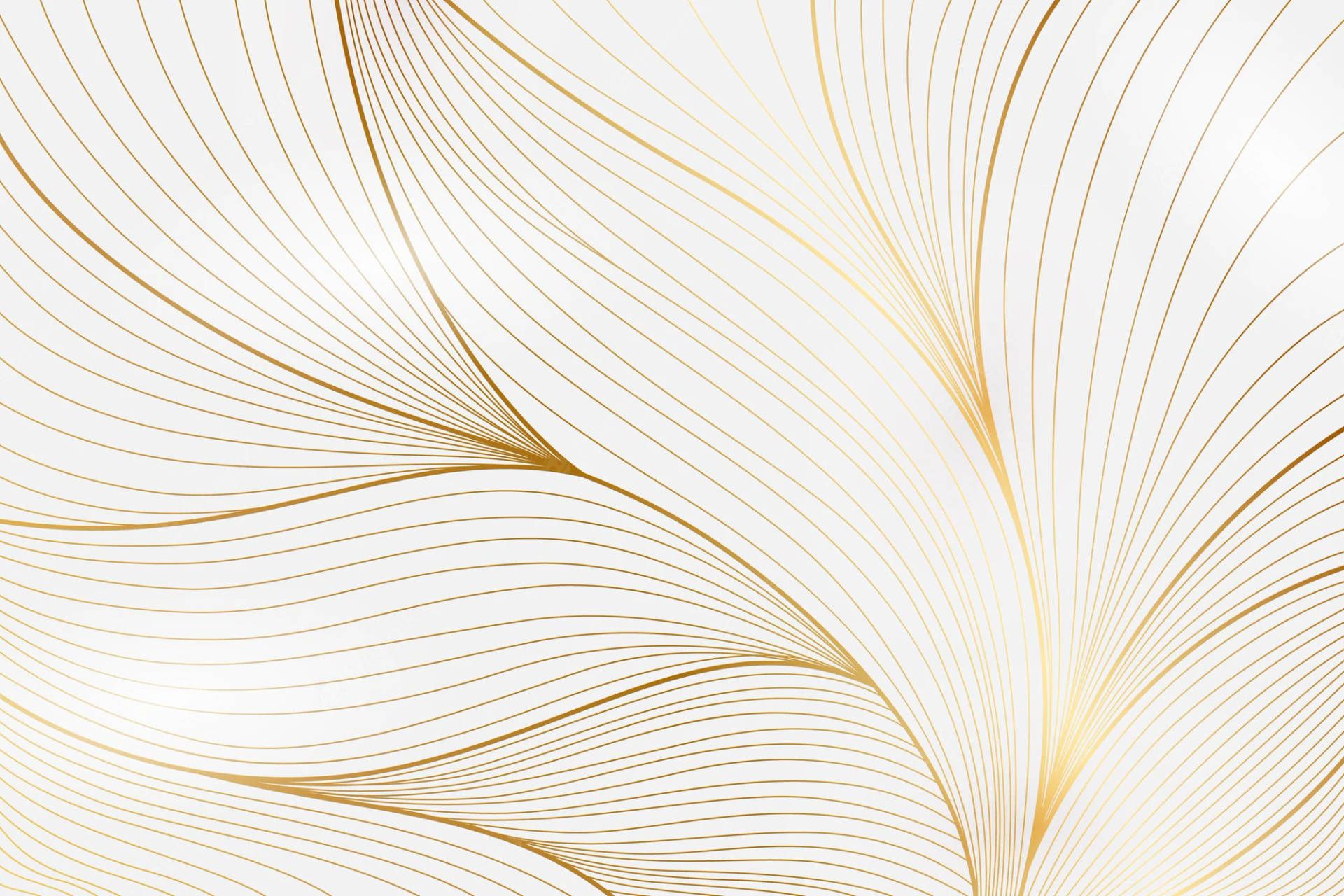 1920x1280 Golden White Wallpaper