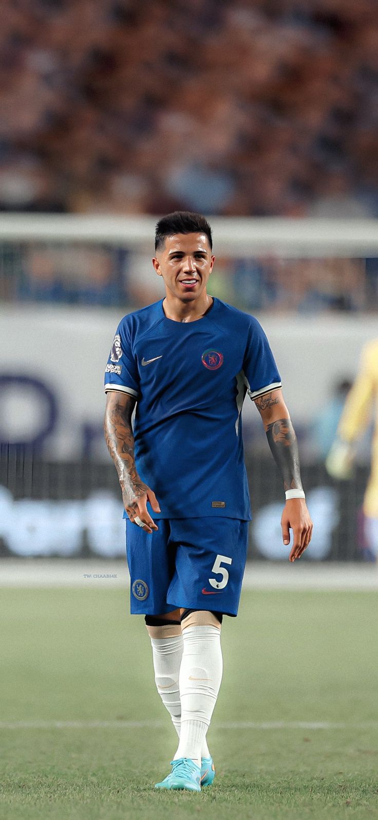 736x1595 Enzo Fernandez Wallpaper