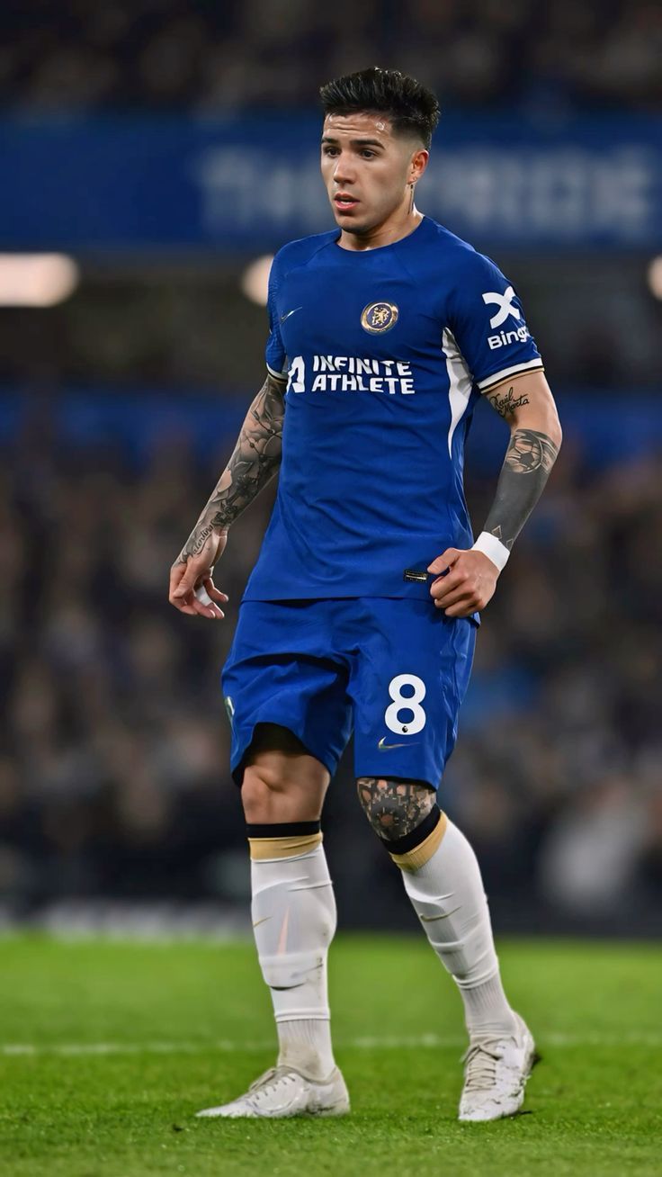 736x1308 Enzo Fernandez Chelsea wallpaper