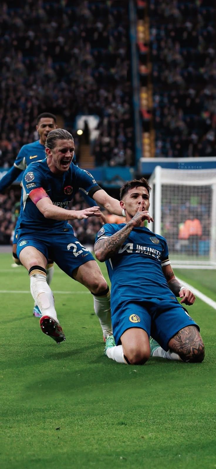 736x1595 Enzo Fernandez Wallpaper