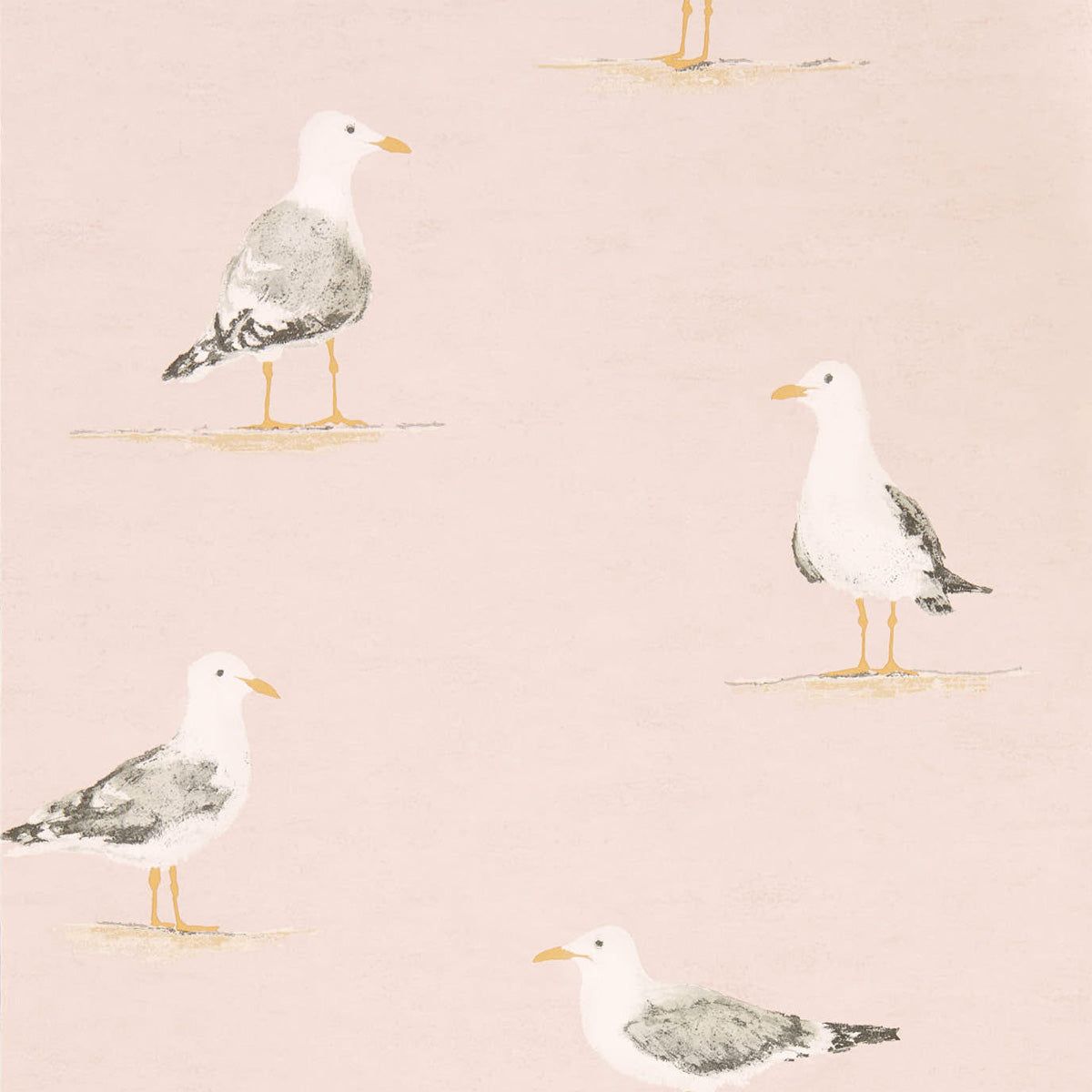 1200x1200 Shore Birds Blush