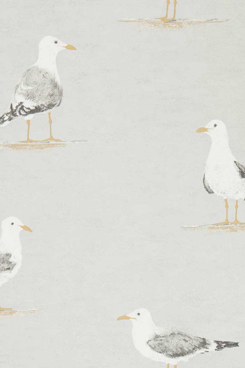 800x1200 Shore Birds Wallpaper DCOA216565
