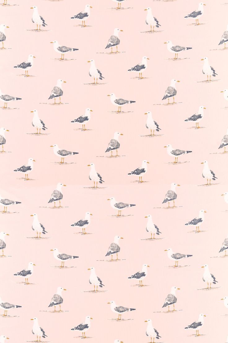 736x1104 Shore Birds by Sanderson : Wallpaper Direct