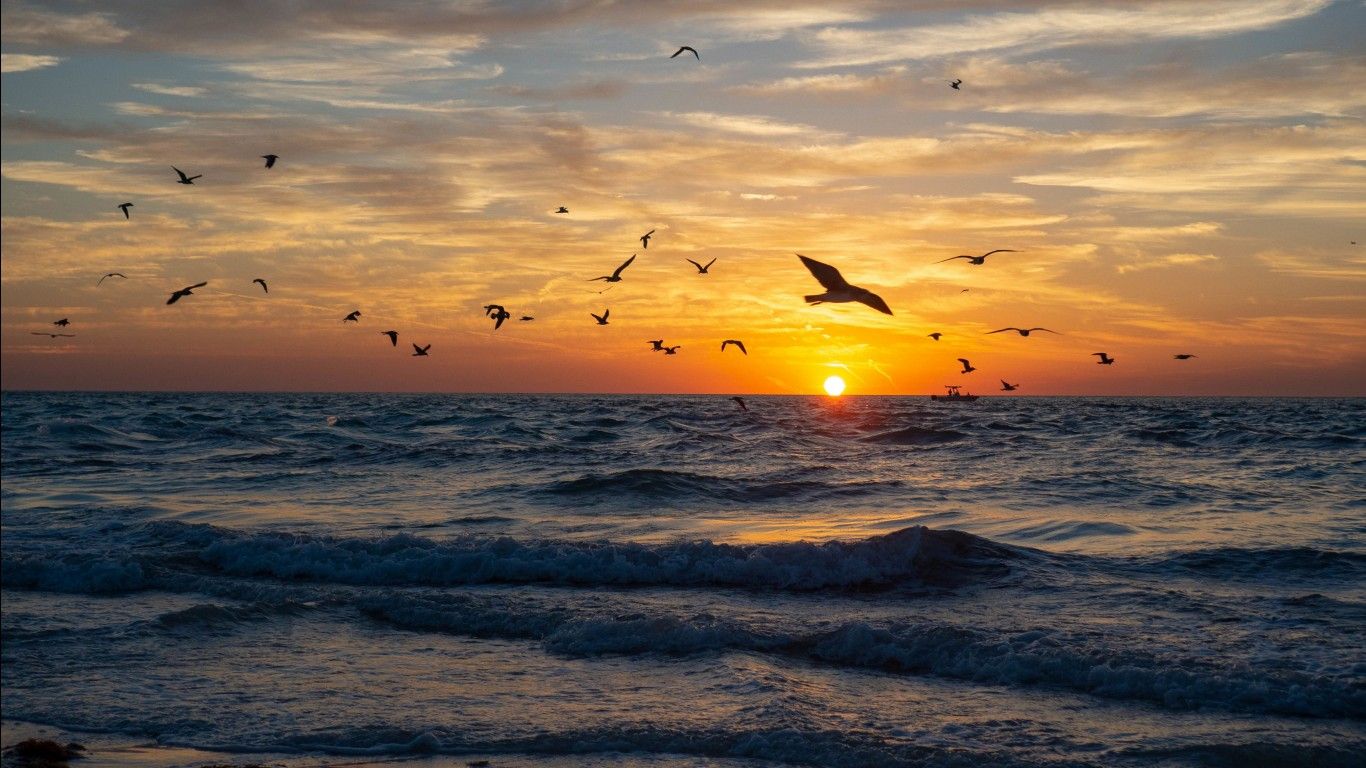 1366x768 Beautiful Sea Waves Birds Sunset View Silhouette Background 4K HD Nature Wallpaper