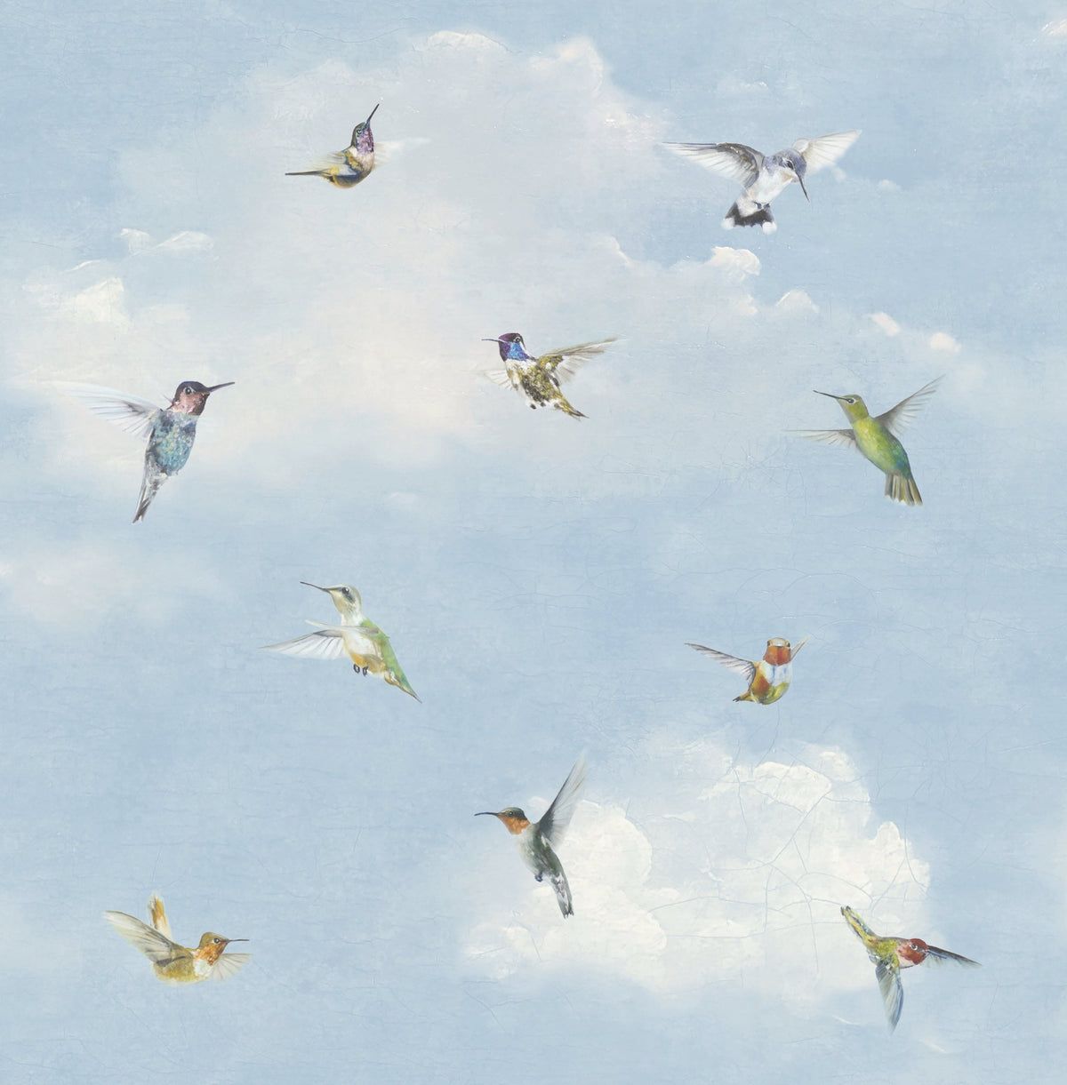 1200x1221 Bird Wallpaper