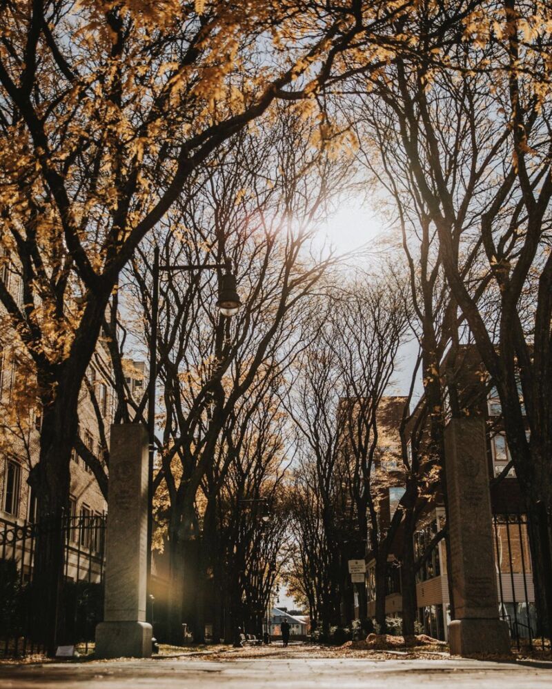 800x999 Fall
