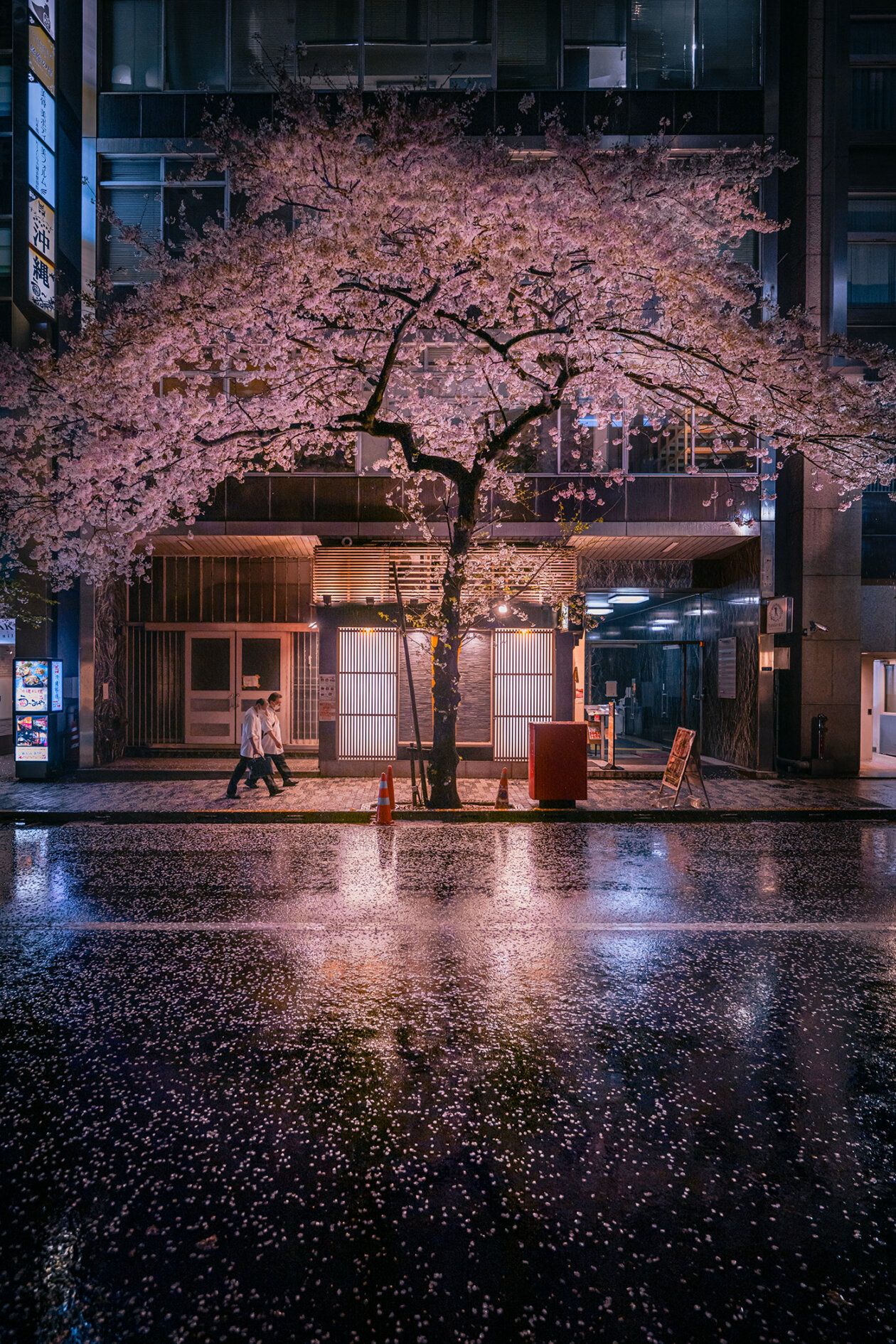 1260x1890 Kenta Hayashi: Tokyo spring rain photography