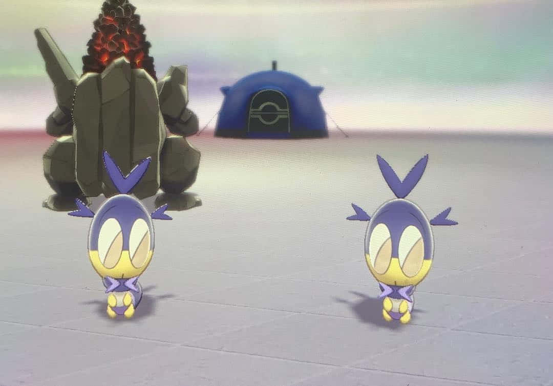 1080x754 Download Pokémon Blipbug In Pokémon Center Wallpaper