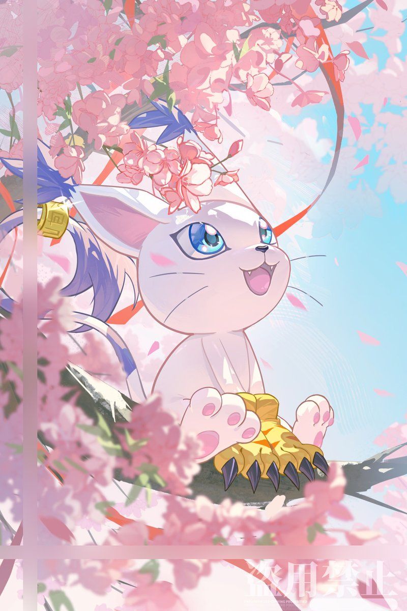 800x1200 So pretty!