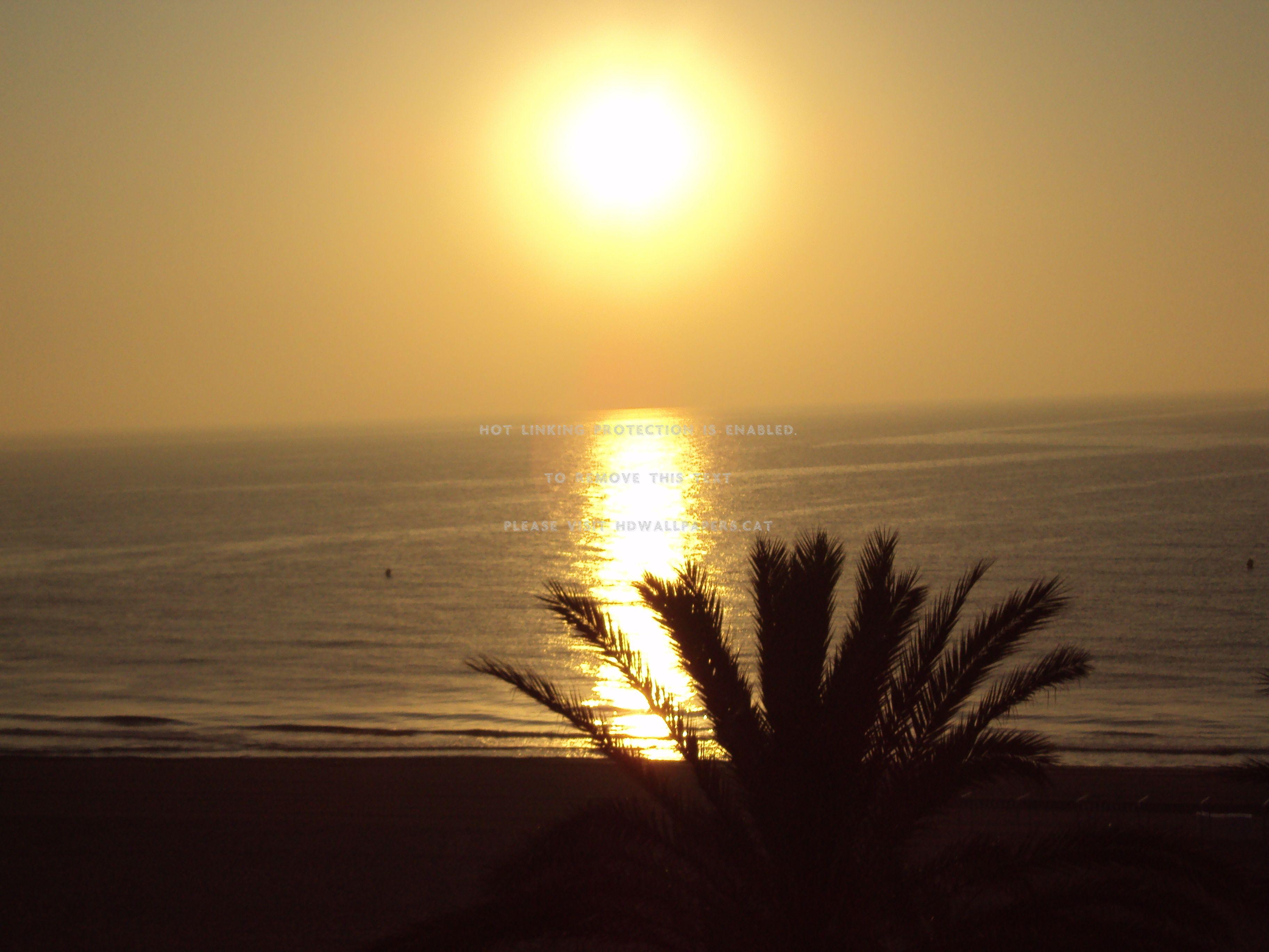 3648x2736 san juan beach alicante spain nature sunset