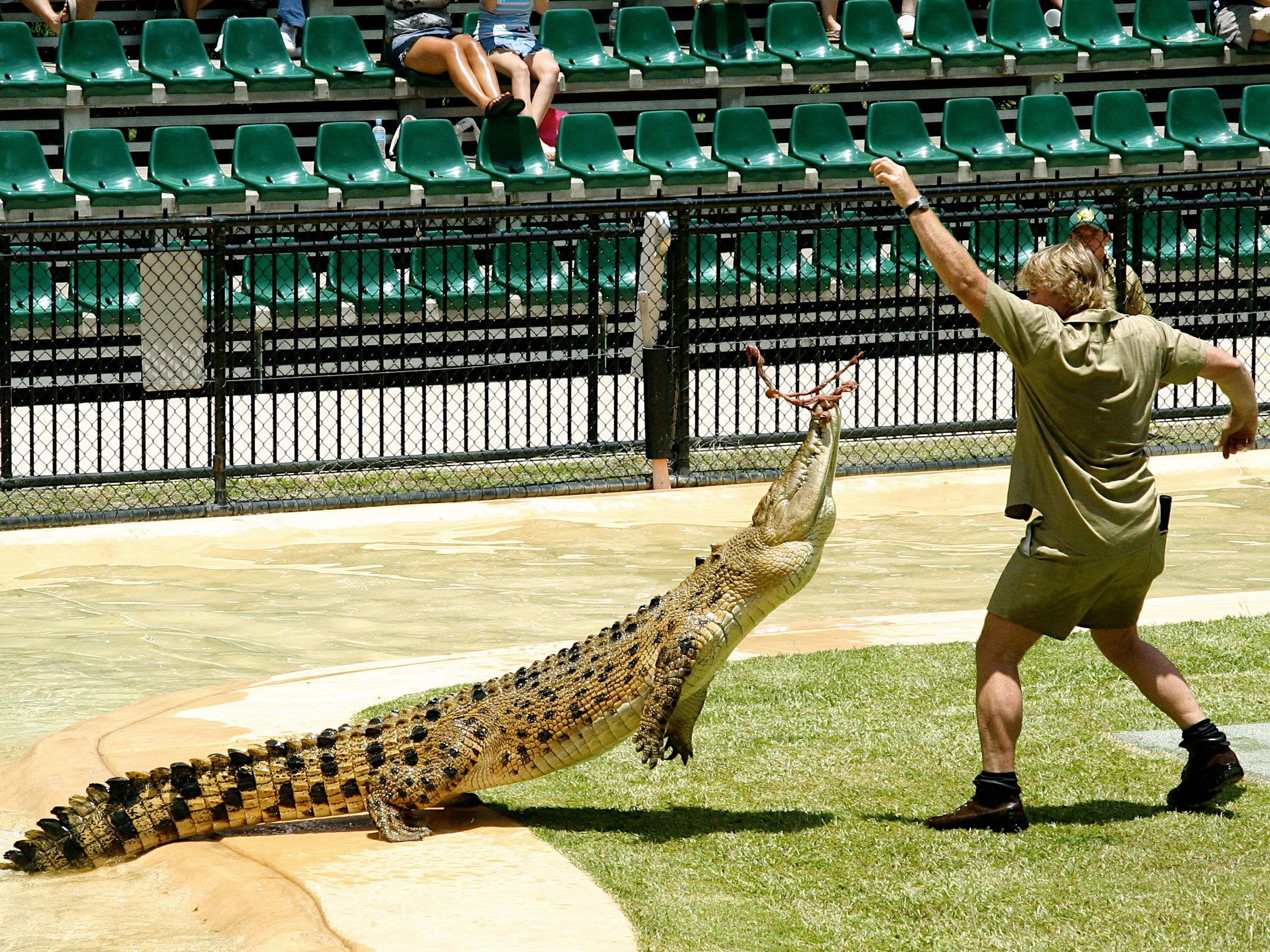 2256x1693 Download Australian Crocodile Celebrity Steve Irwin HD Wallpaperx1693