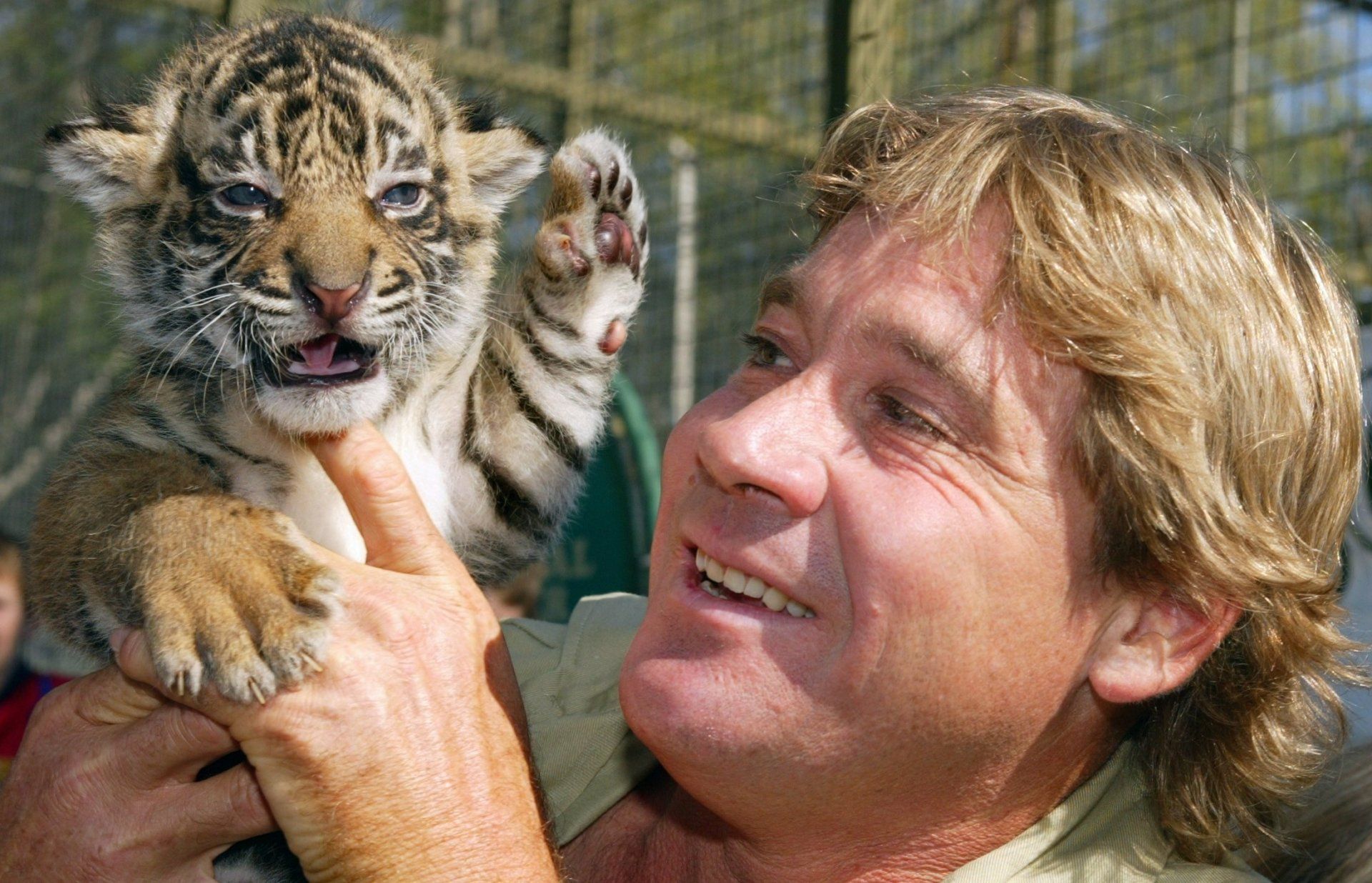 1920x1236 Download Cub Tiger Celebrity Steve Irwin HD Wallpaperx1416