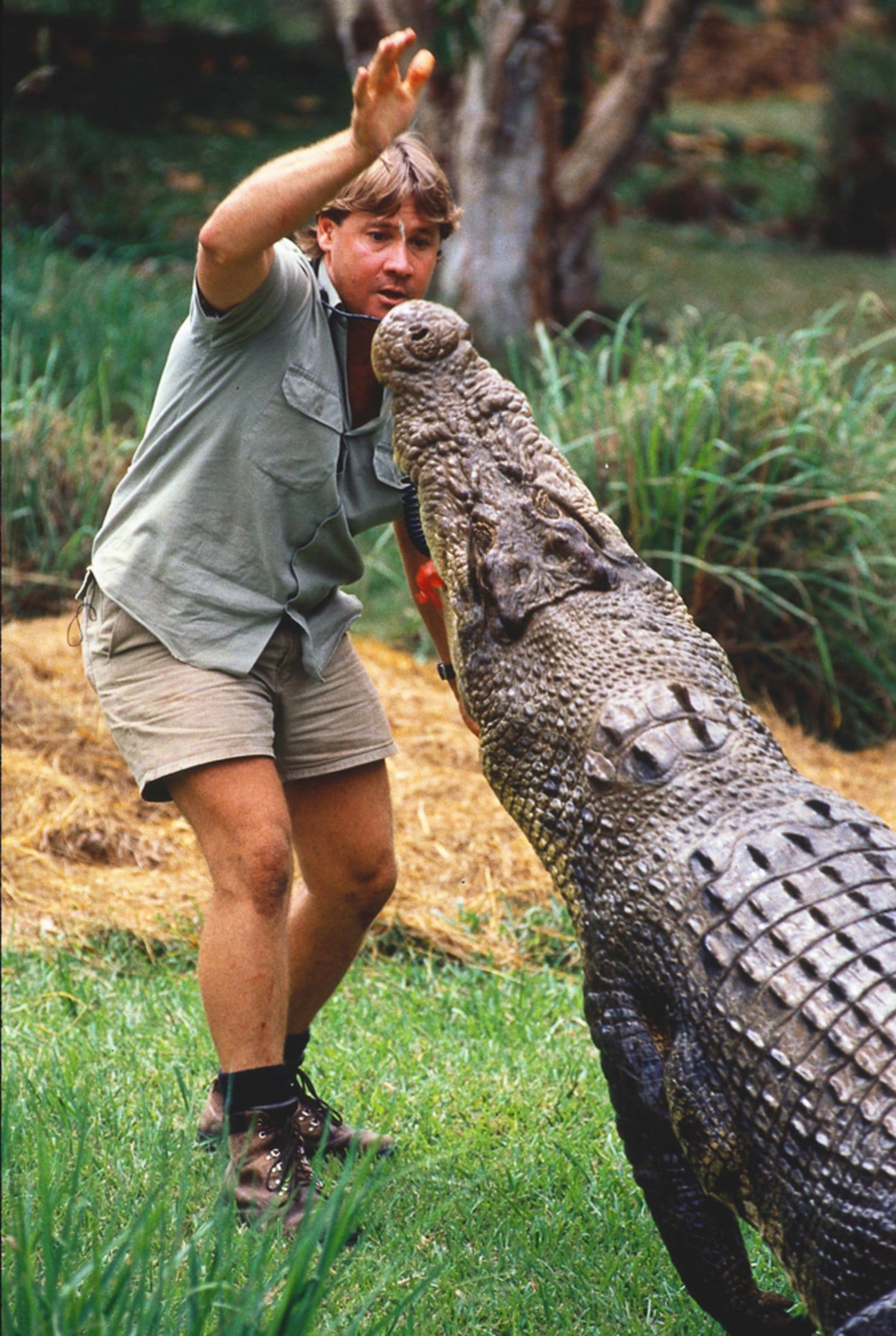 1500x2235 Memorial for Irwin to be held at 'Crocoseum'