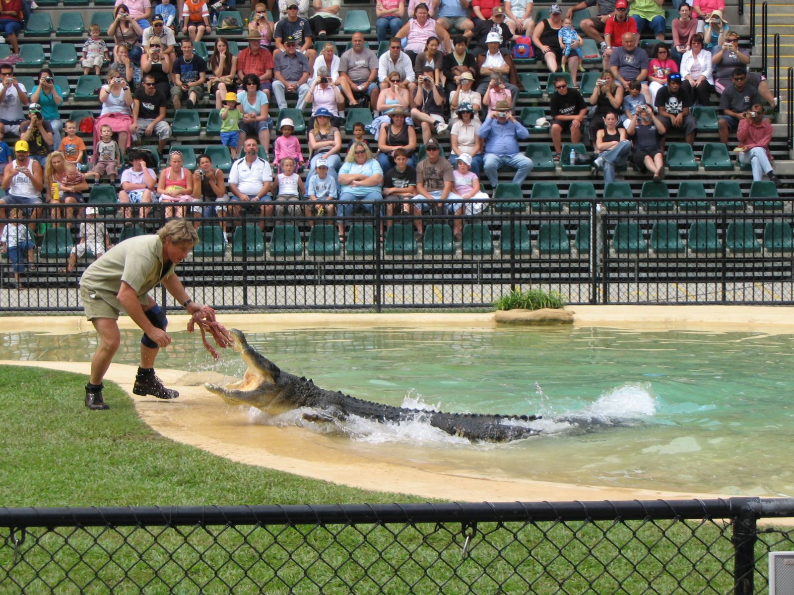 1600x1200 Free Steve Irwin 4K Wallpaper & Desktop HD Background for PC