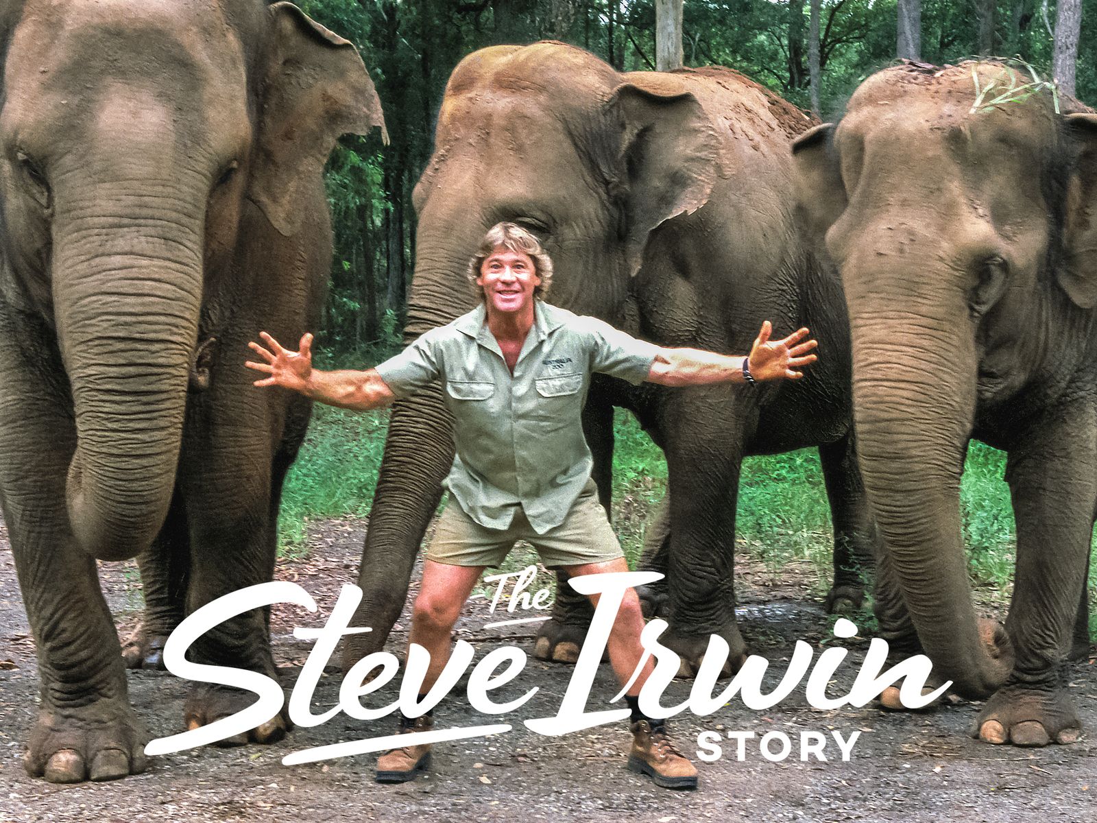 1600x1200 Prime Video: The Steve Irwin Story