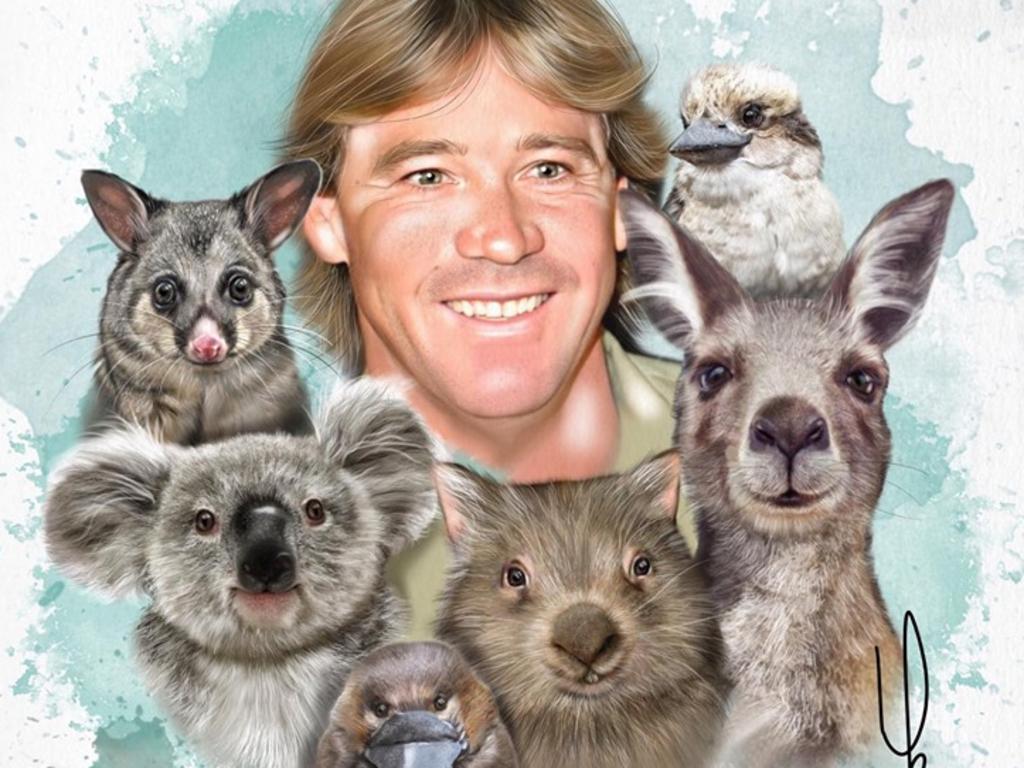 1024x768 Crocodile Hunter Steve Irwin: Sketchy Koala bushfires drawing. The Courier Mail