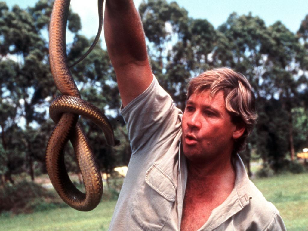 1024x768 Tribute to the Crocodile Hunter, Steve Irwin