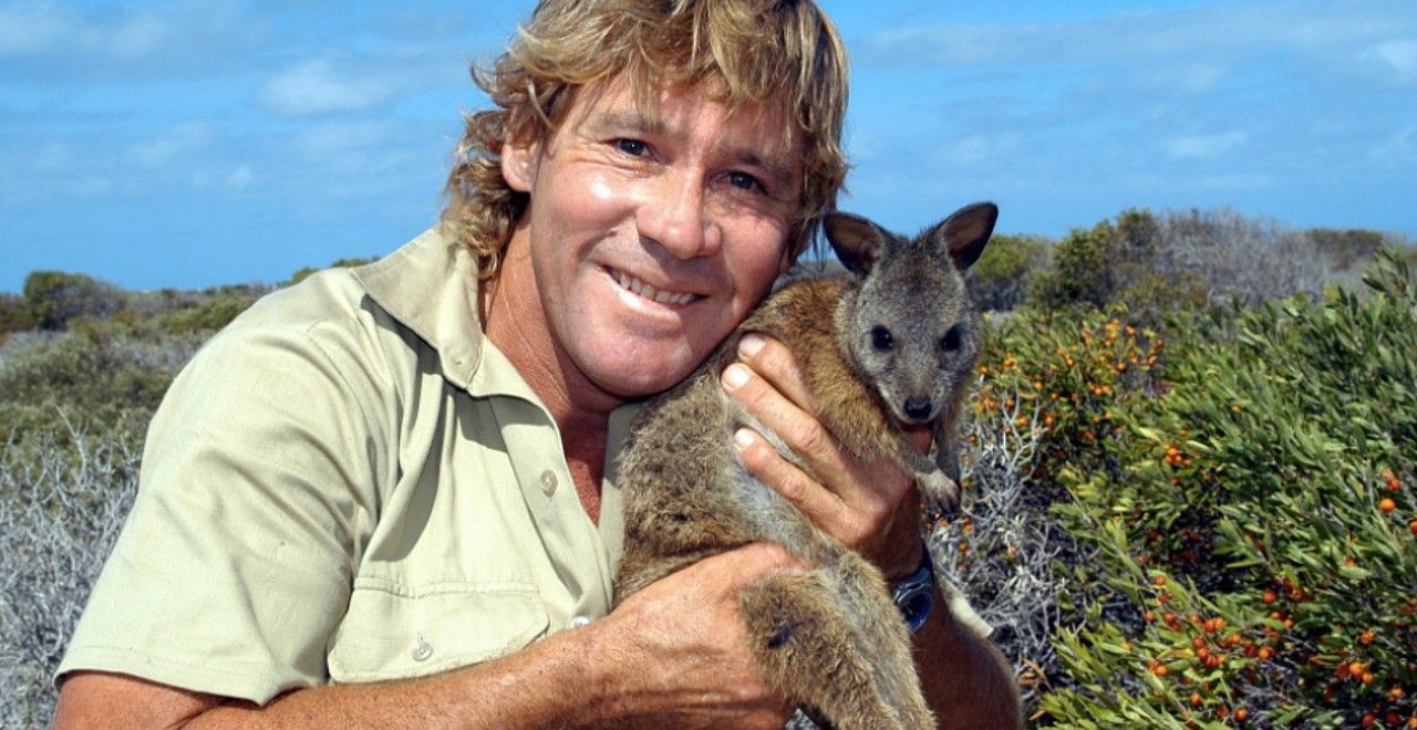 1280x660 November 15 Is Steve Irwin Day and Tributes Poured In
