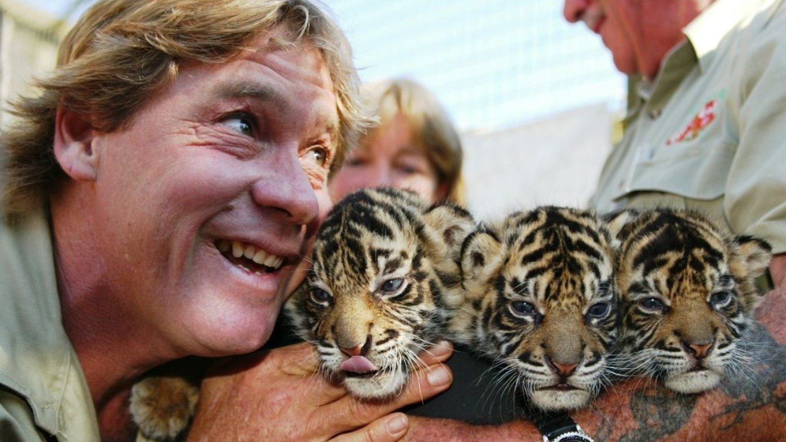 1600x900 Steve Irwin Quotes: Famous Sayings By 'The Crocodile Hunter' On His 55th Birthday