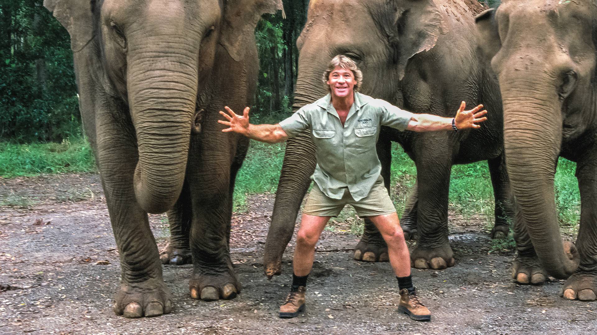 1920x1080 The Steve Irwin Story. Shows. discovery+