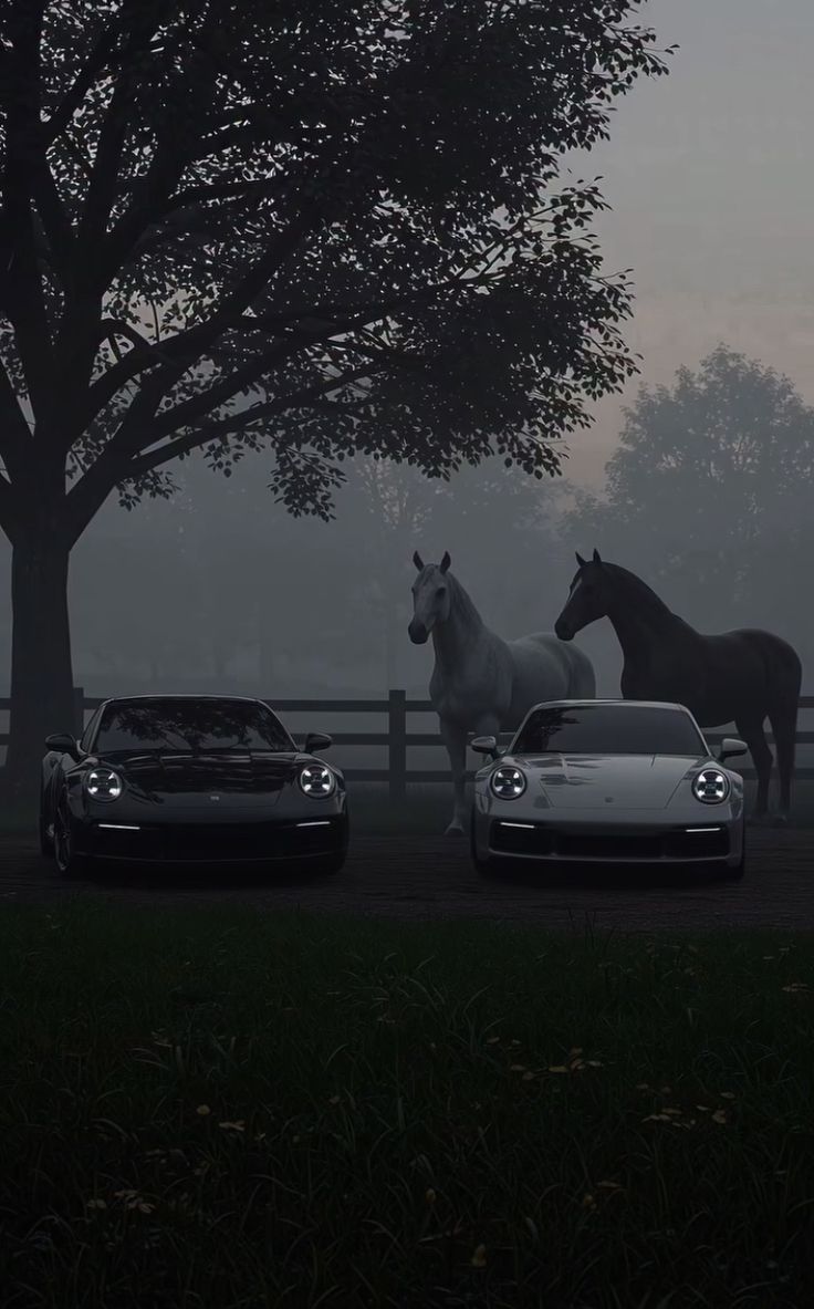 736x1183 Porsche and horses