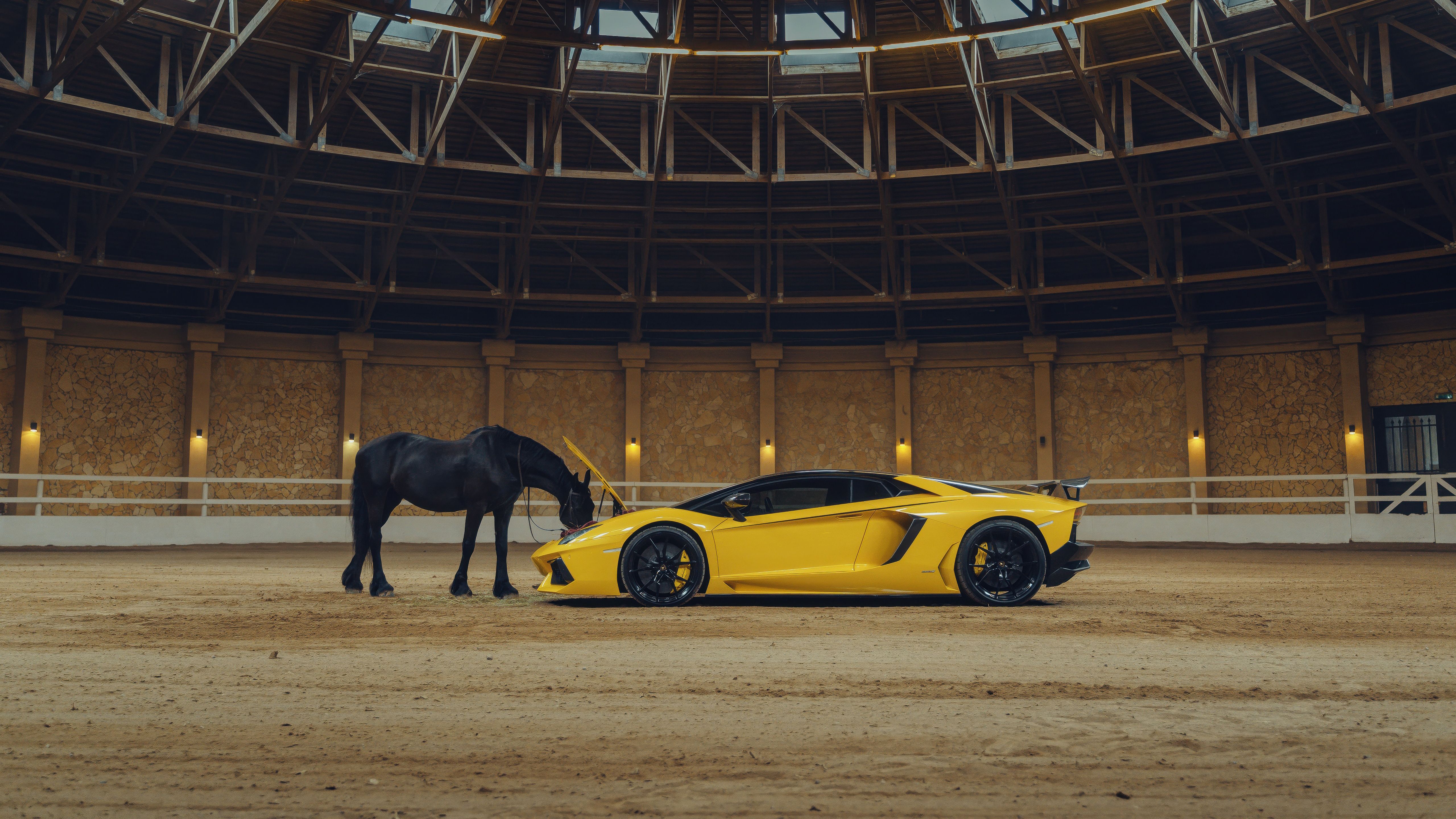 5120x2880 Horse Meets Lamborghini Aventador Wallpaper, HD Cars Wallpaper, 4k Wallpaper , Image, Background, Photos and Picture