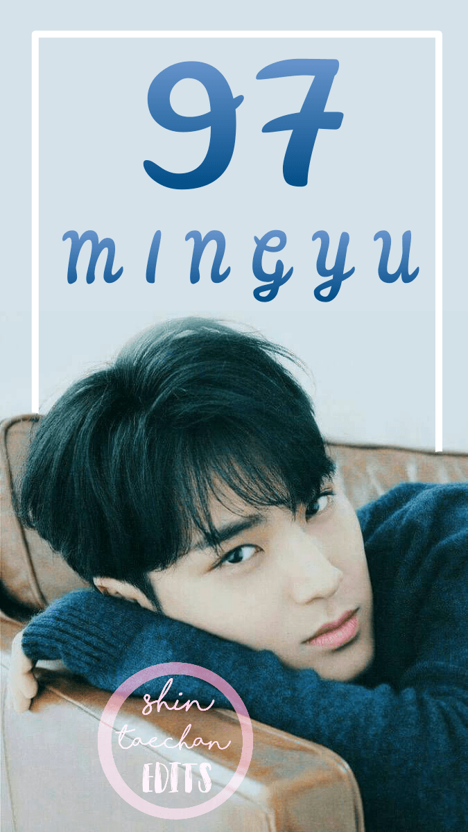 675x1200 Kim Mingyu Wallpaper