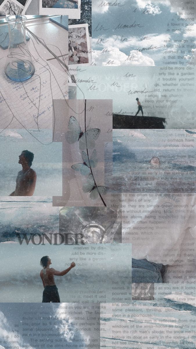 675x1200 Wonder