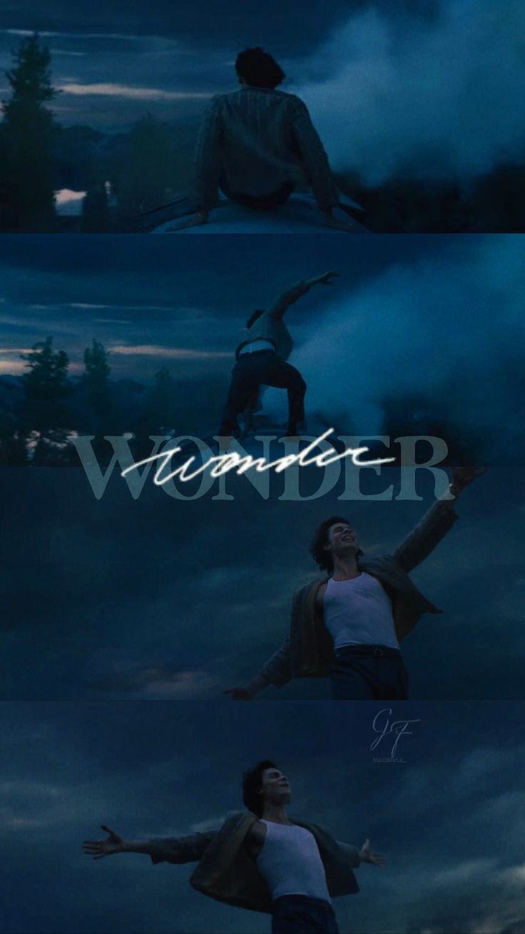 736x1308 Shawn Mendes Wonder blue Wallpaper