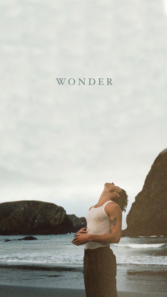 675x1200 shawn mendes- ideas. shawn mendes, shawn, mendes